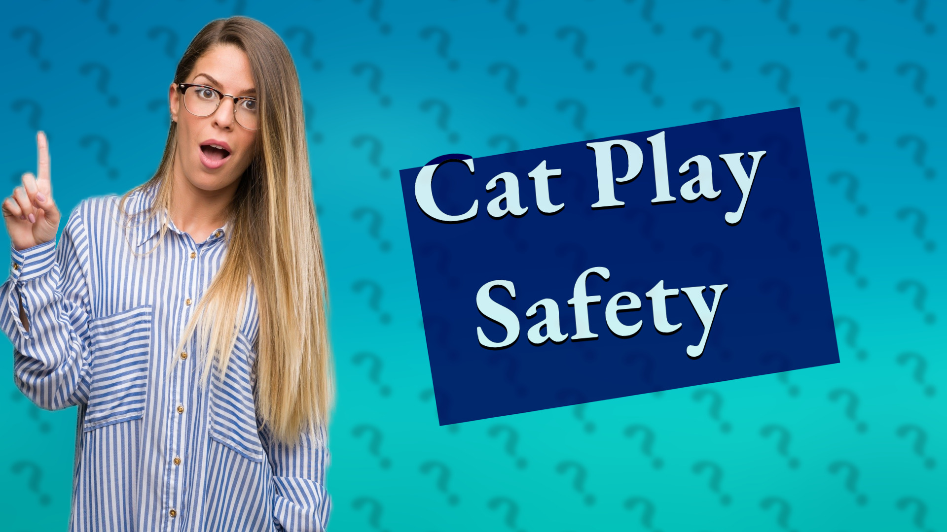 Cat Play Safety