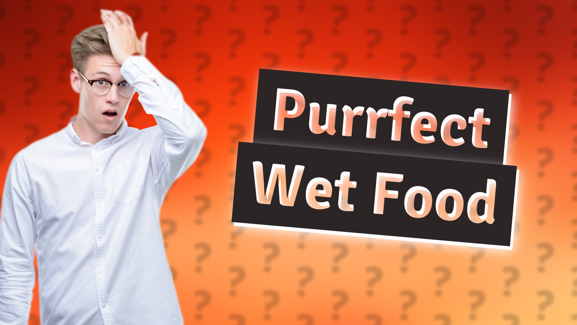 Purrfect Wet Food