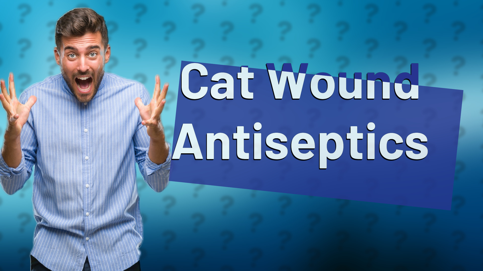 Cat Wound Antiseptics