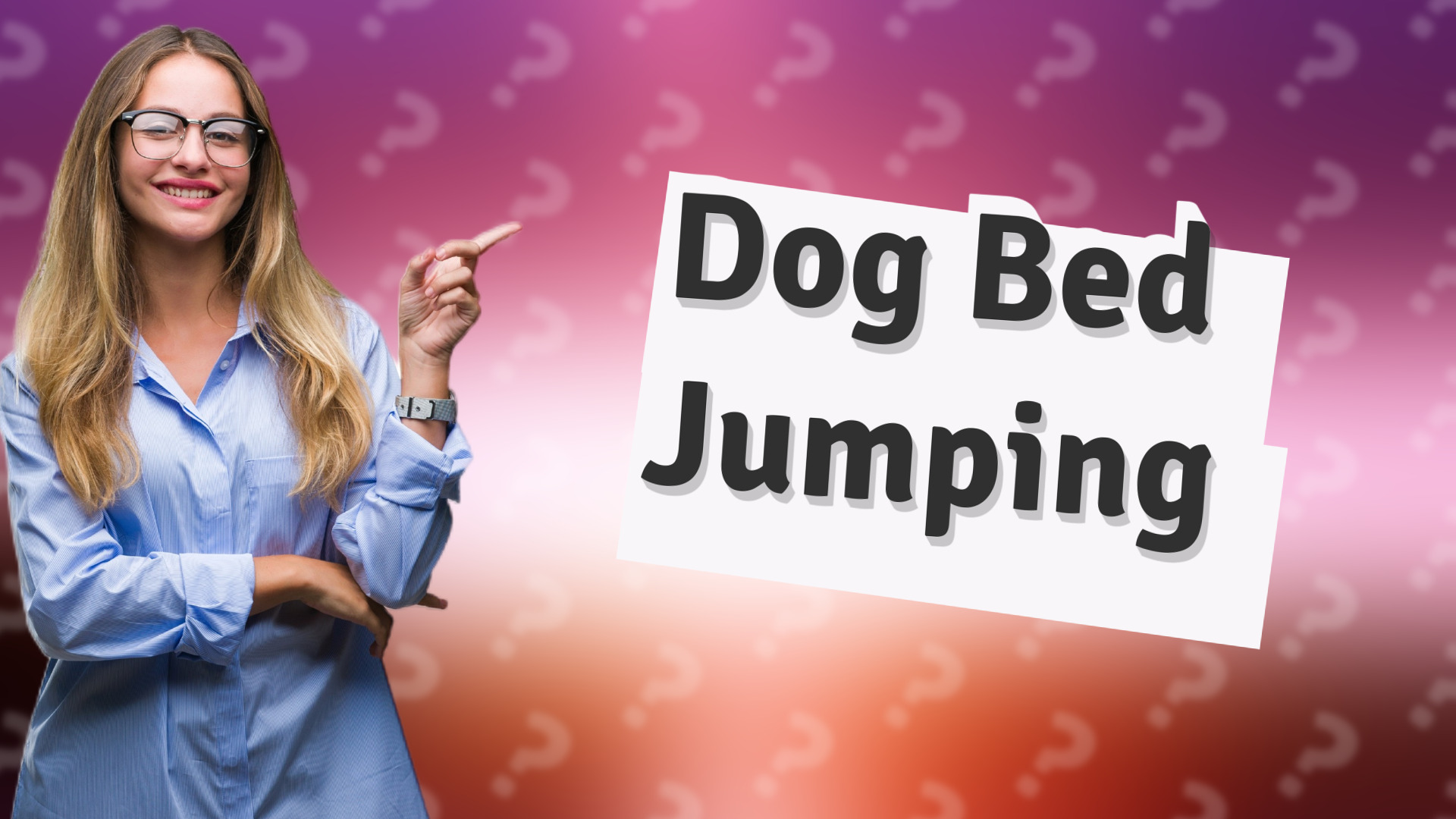 Dog Bed Jumping