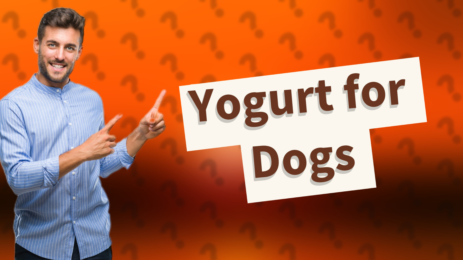 Yogurt for Dogs
