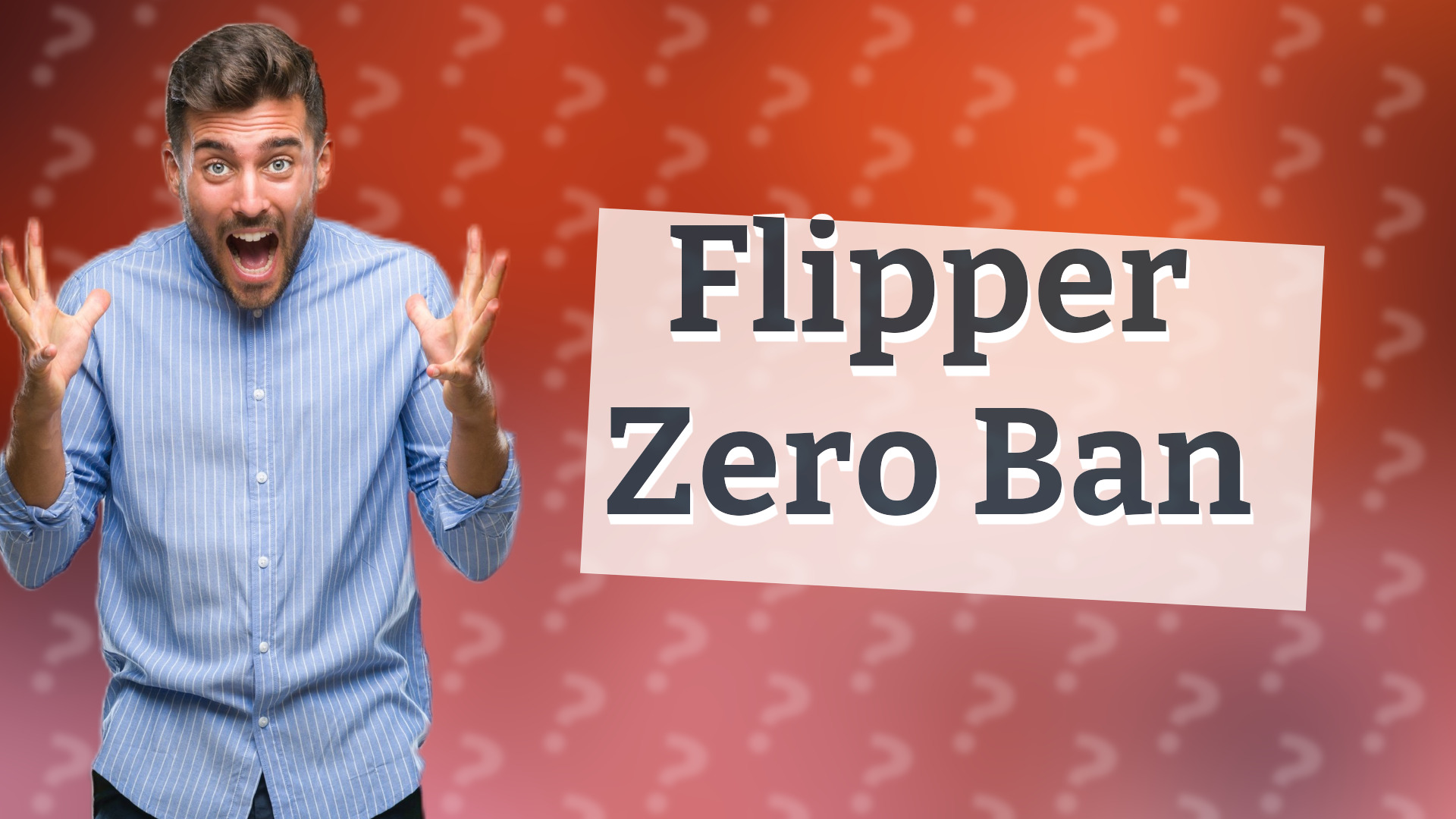 Flipper Zero Ban