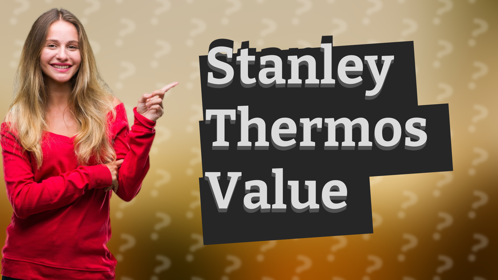 Stanley Thermos Value