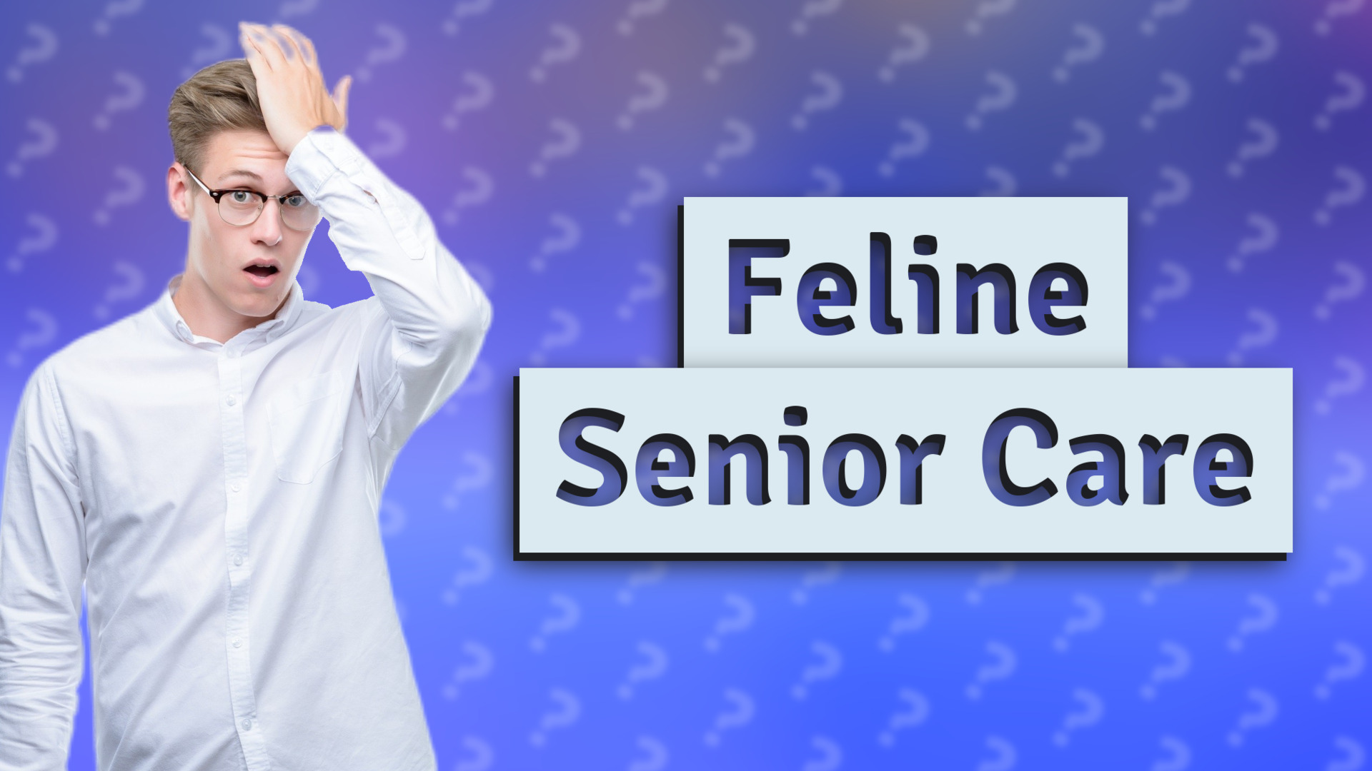 Feline Senior Care