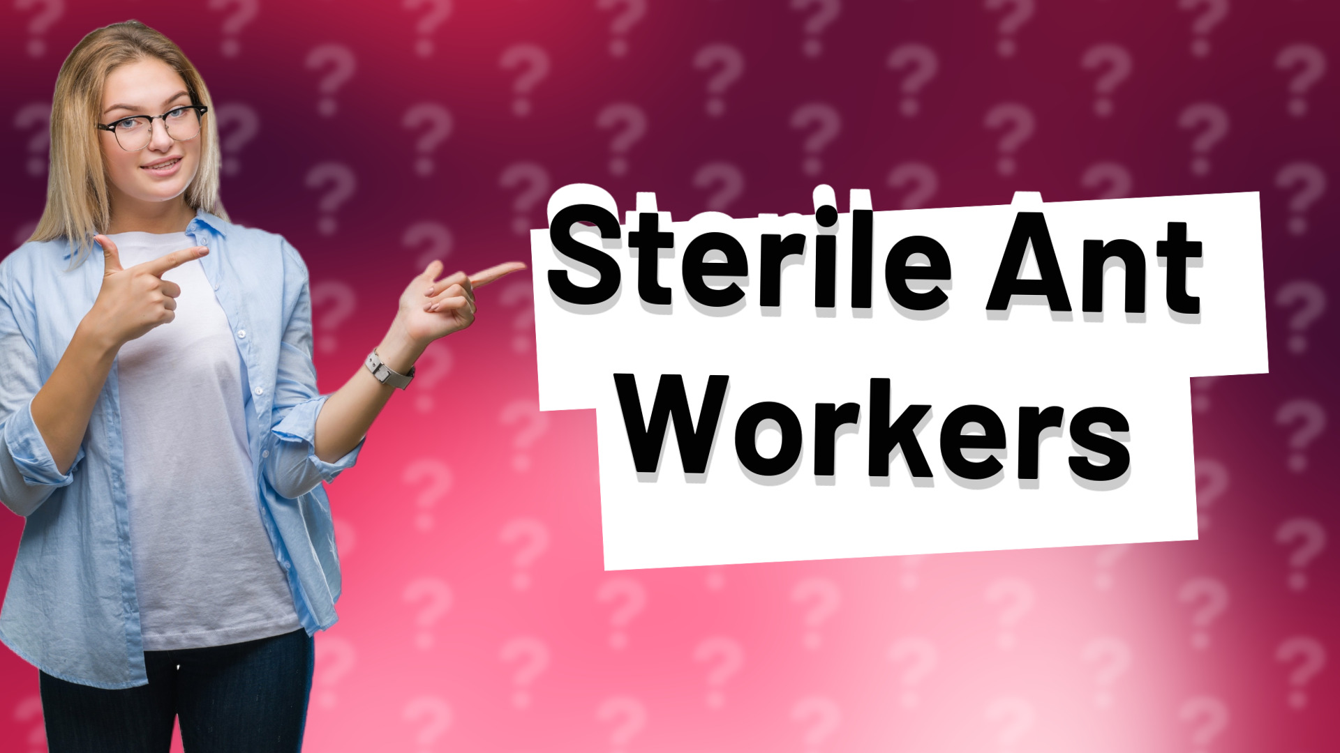 Sterile Ant Workers