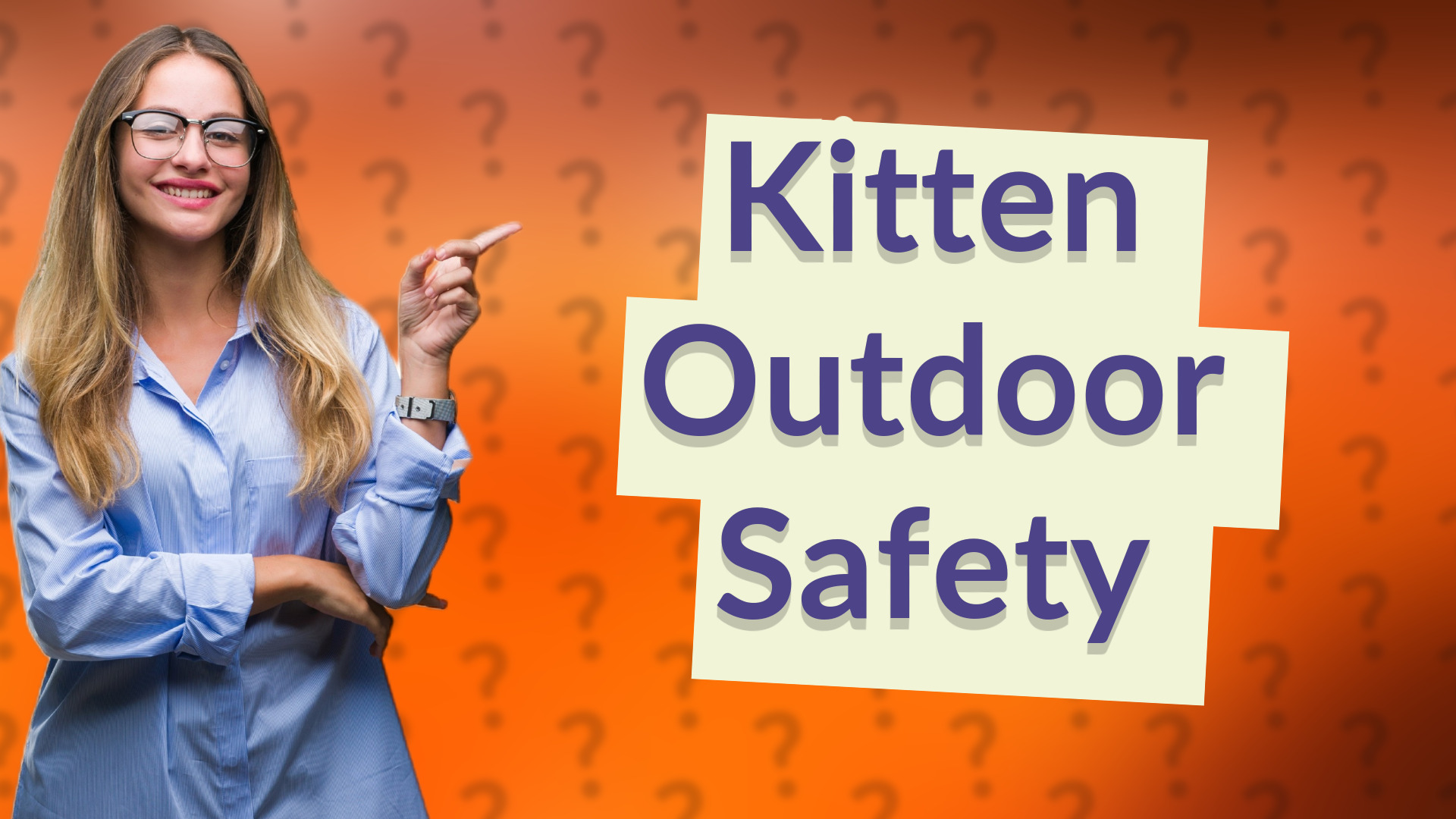 Kitten Outdoor Safety