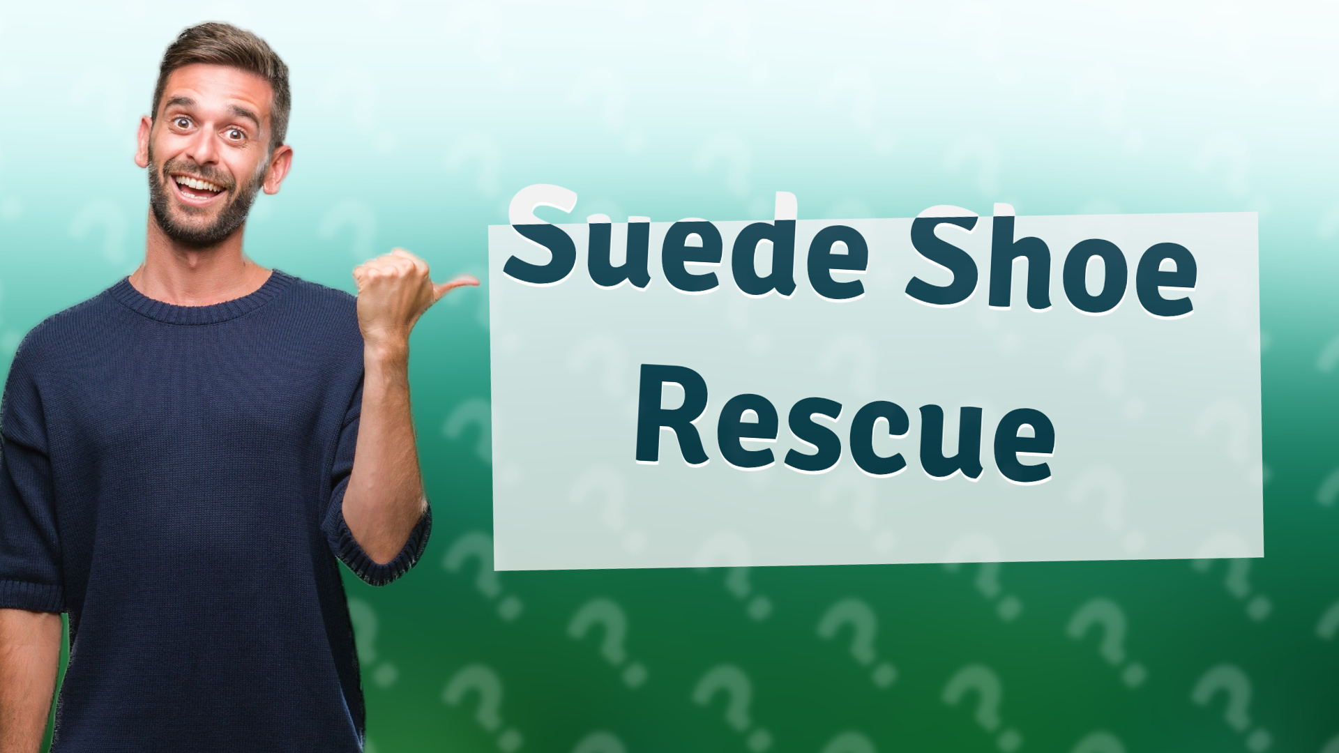 Suede Shoe Rescue