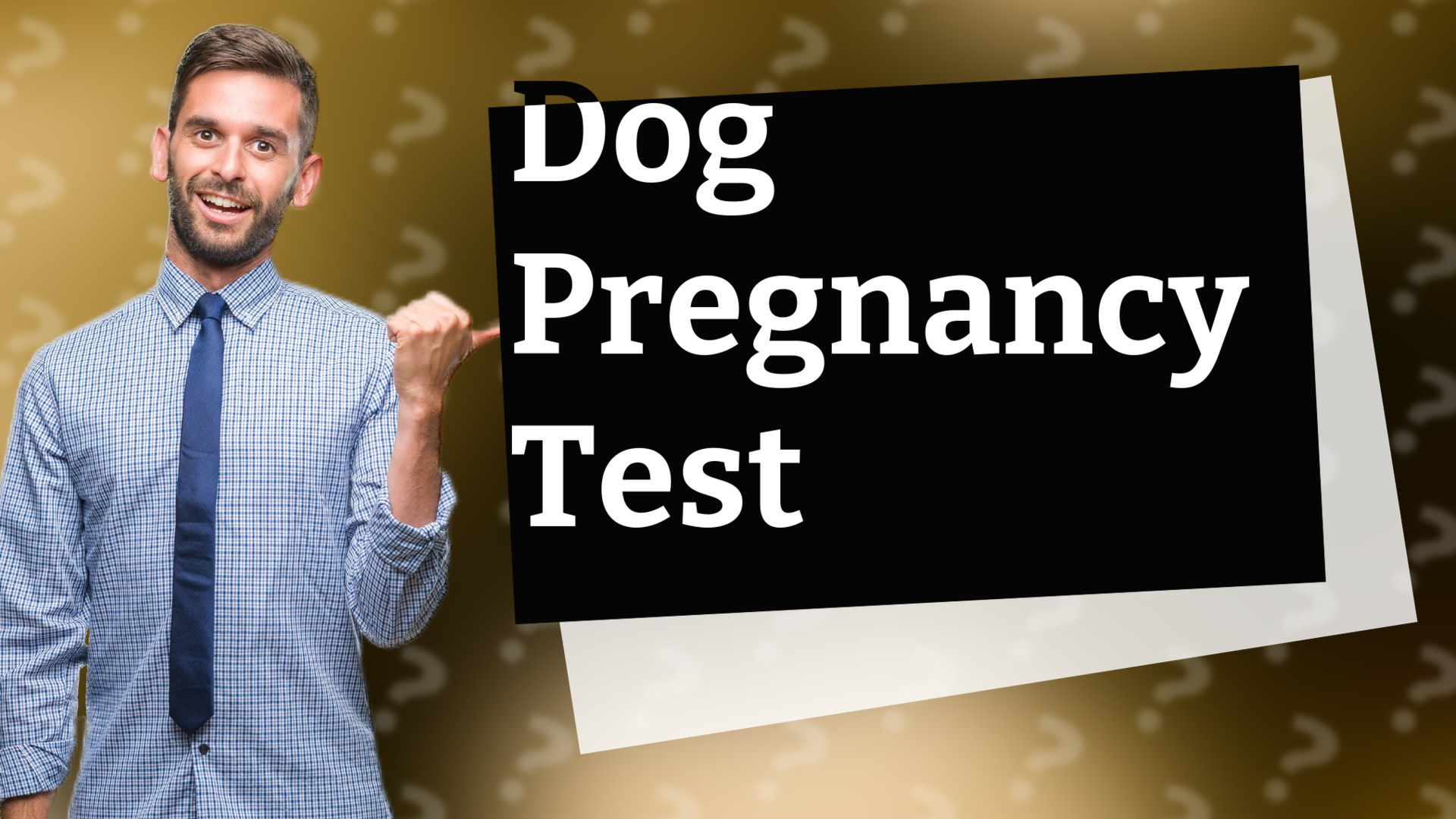 Dog Pregnancy Test