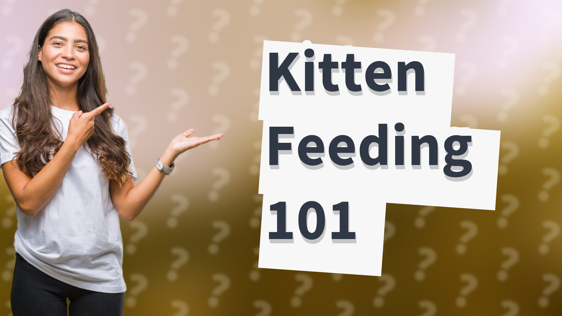 Kitten Feeding 101