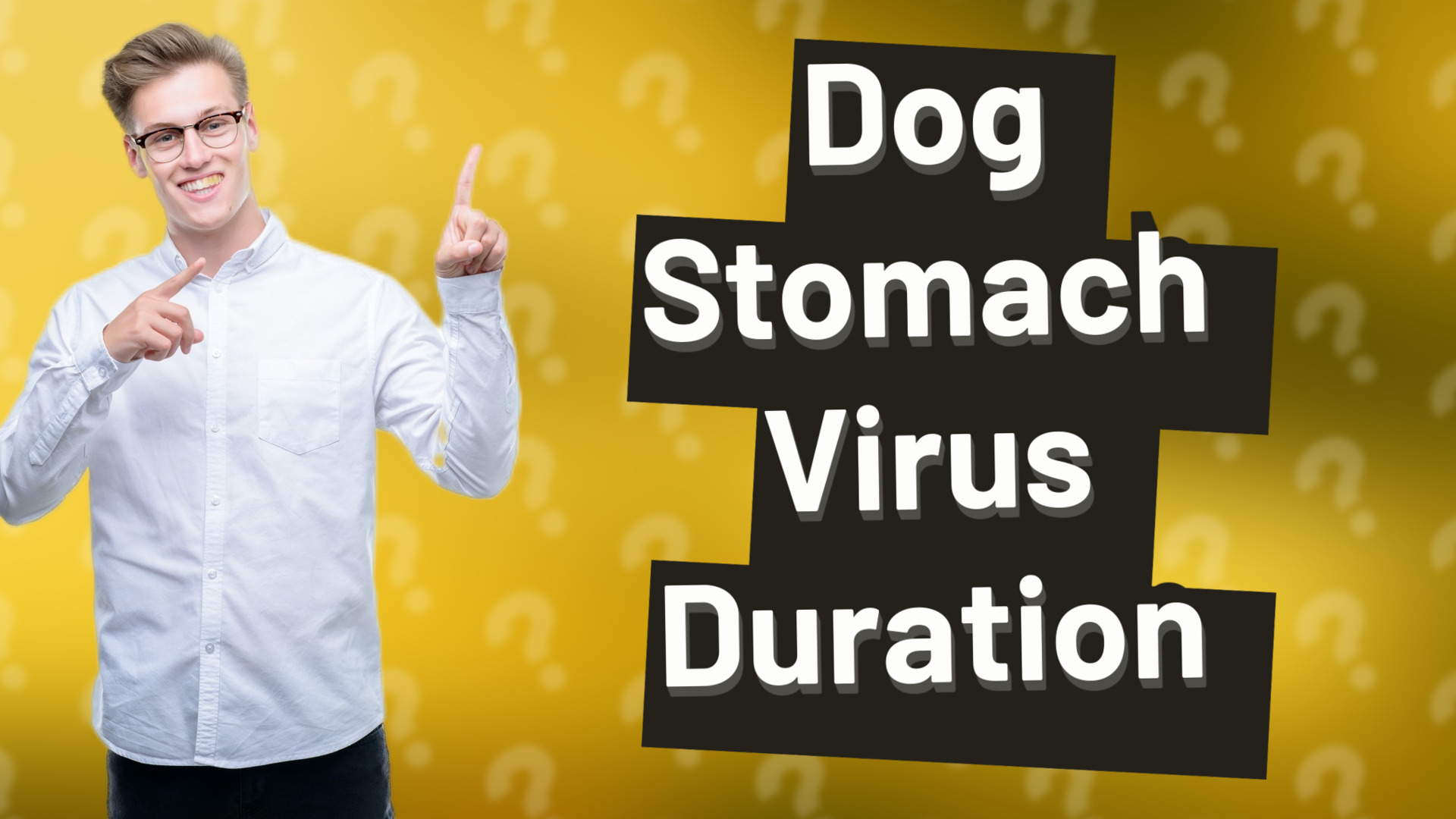 Dog Stomach Virus Duration