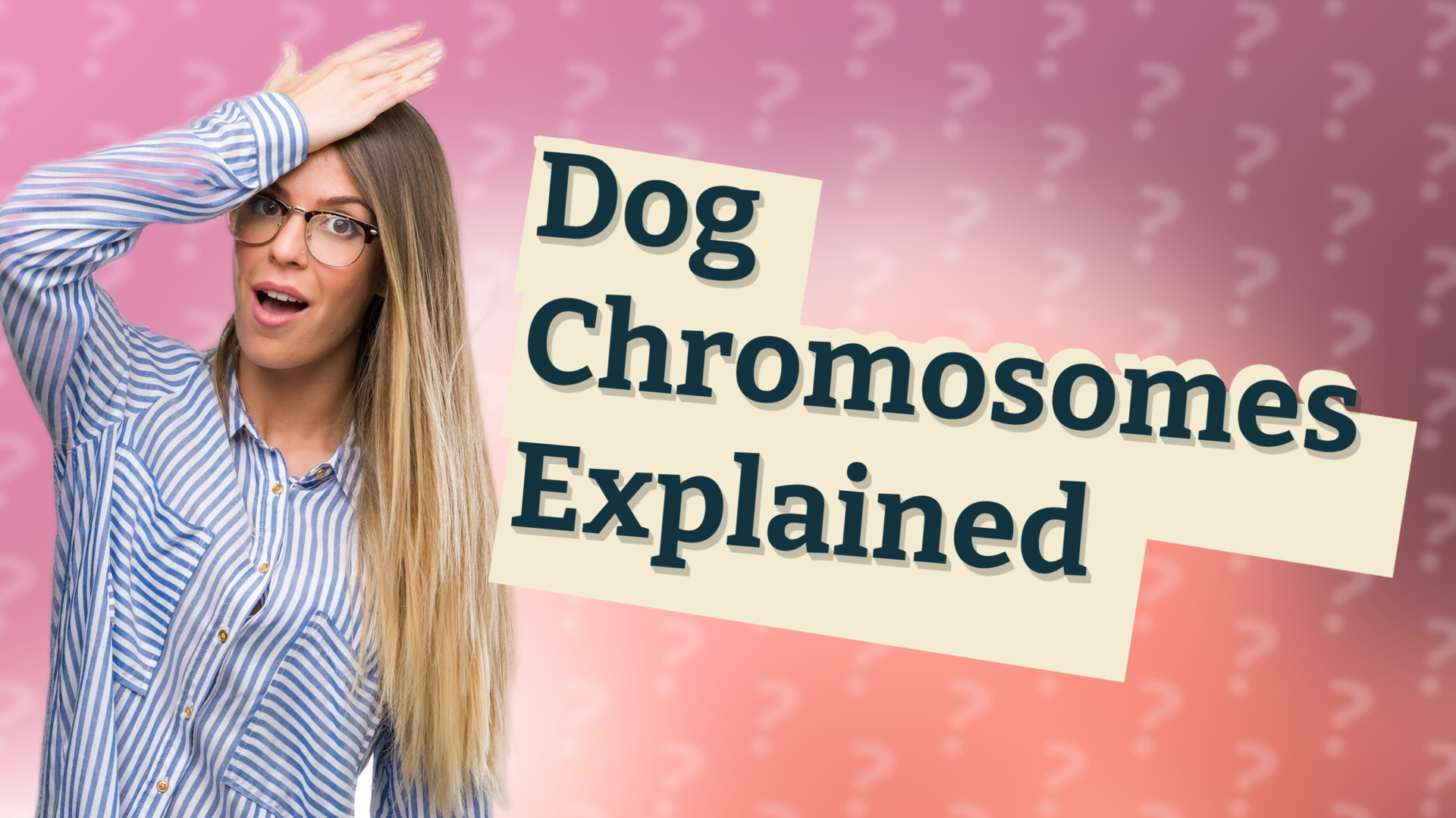 Dog Chromosomes Explained