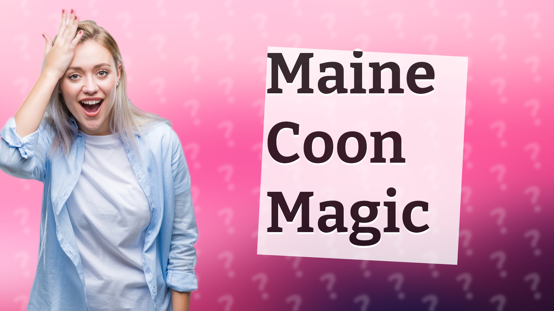 Maine Coon Magic