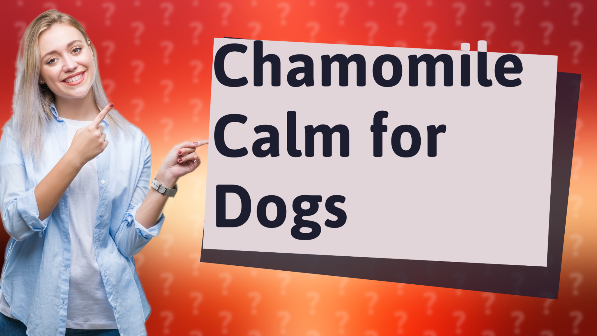 Chamomile Calm for Dogs