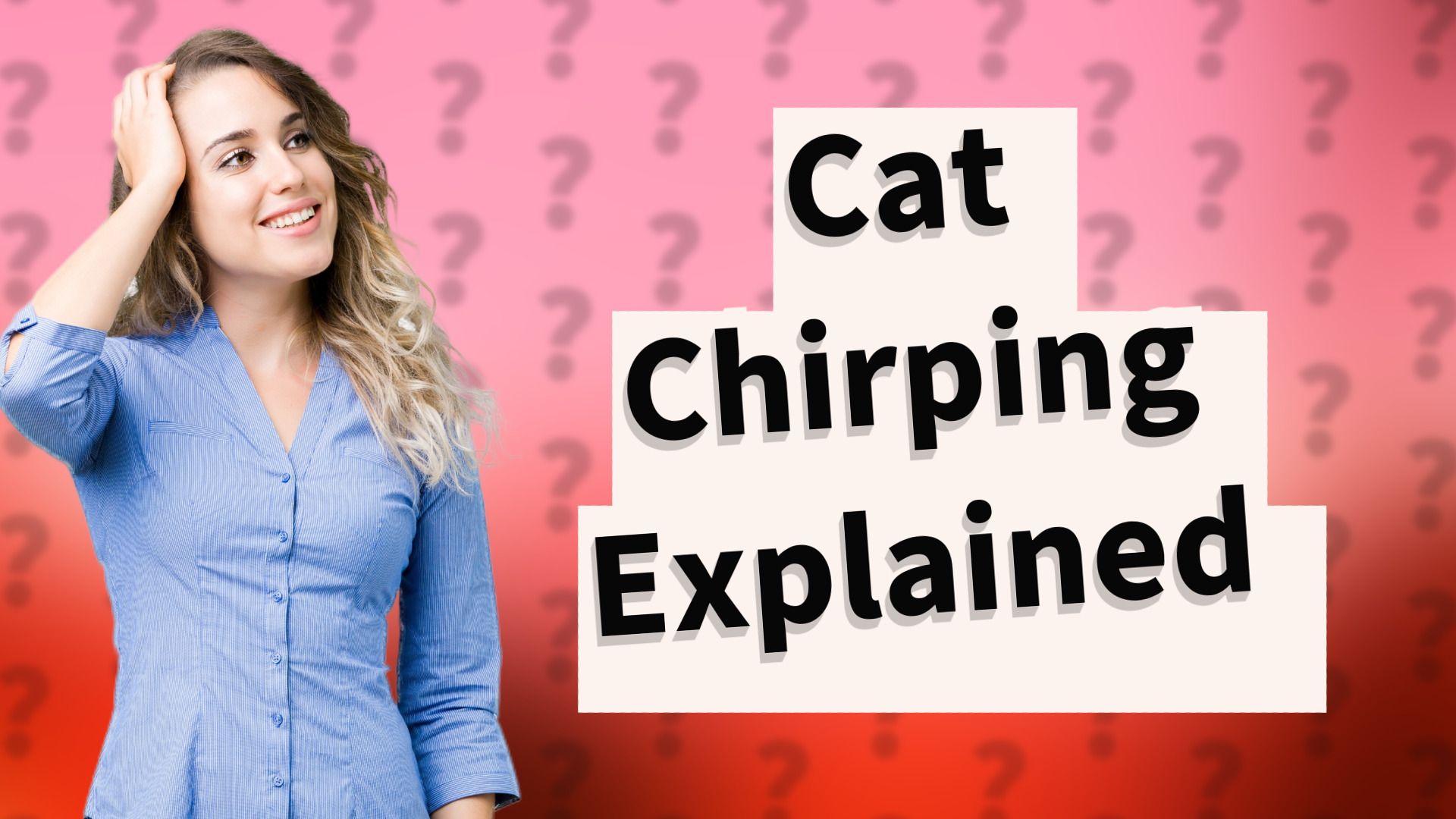 Cat Chirping Explained