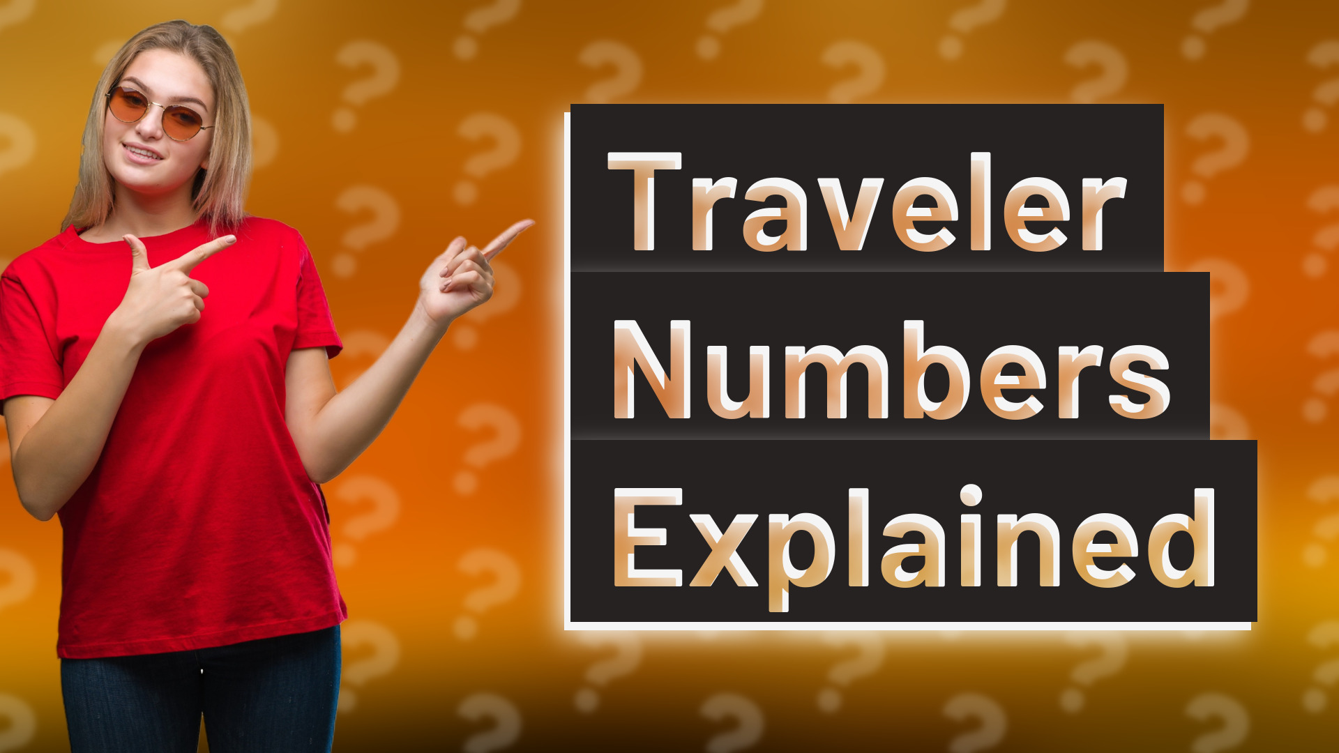 Traveler Numbers Explained