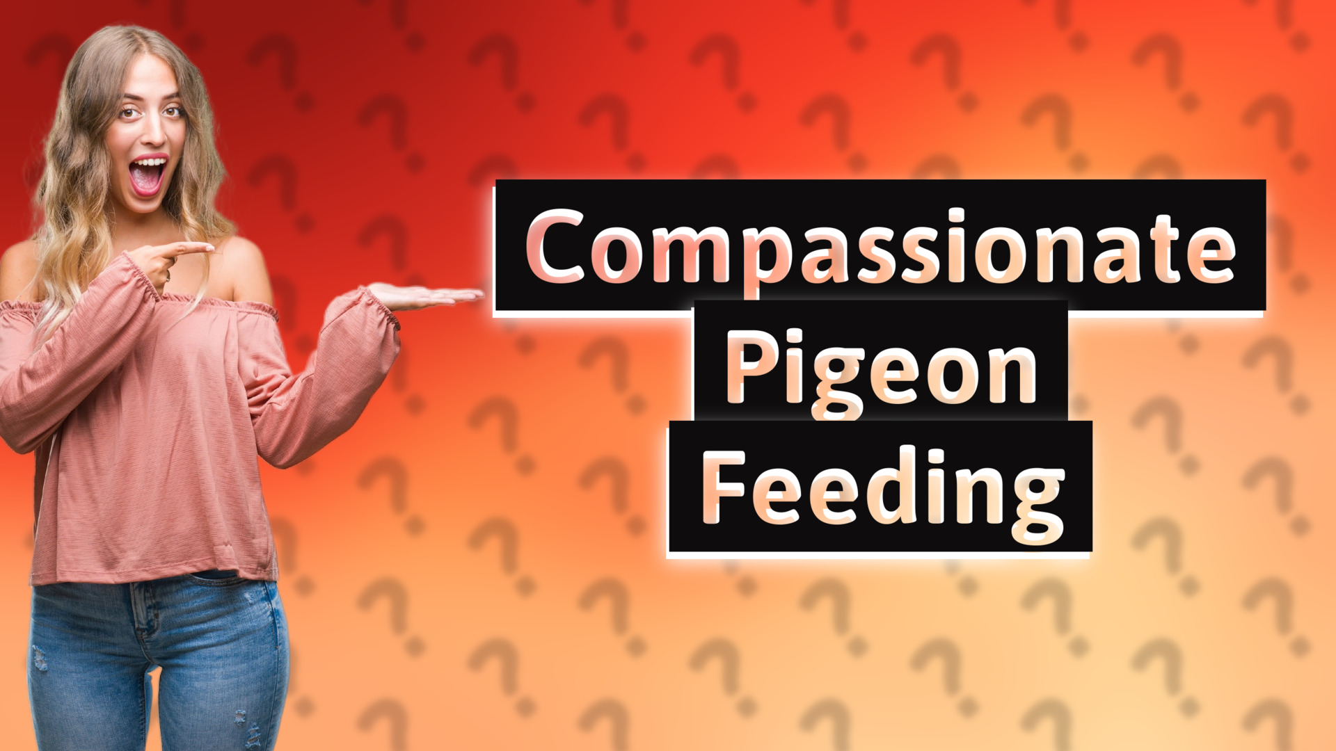 Compassionate Pigeon Feeding