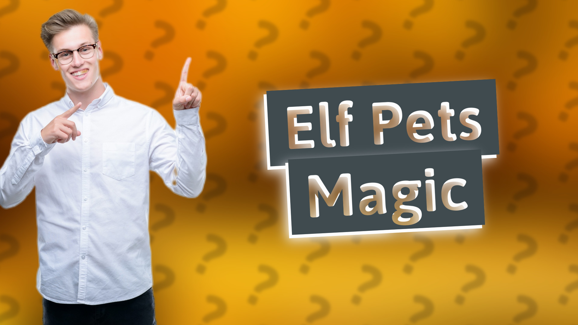 Elf Pets Magic