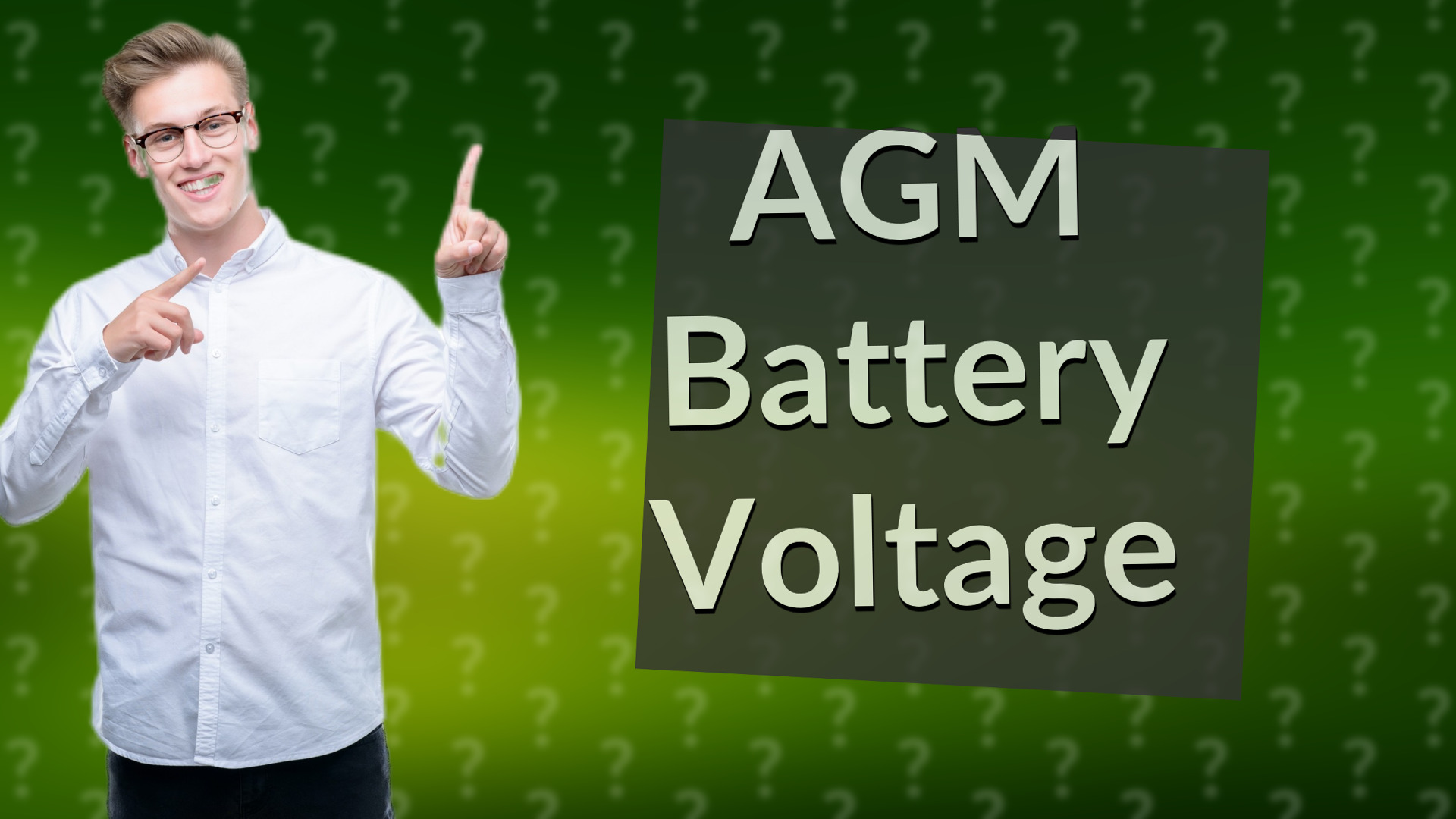 AGM Battery Voltage