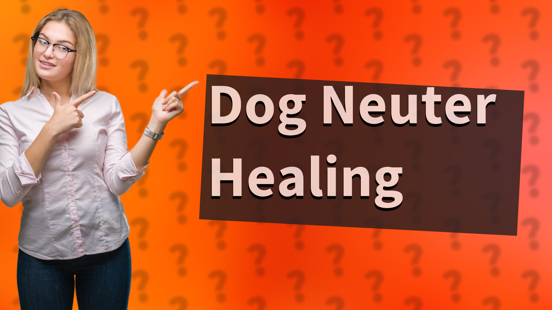 Dog Neuter Healing