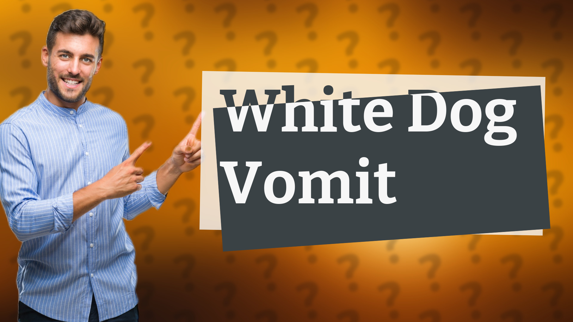 White Dog Vomit