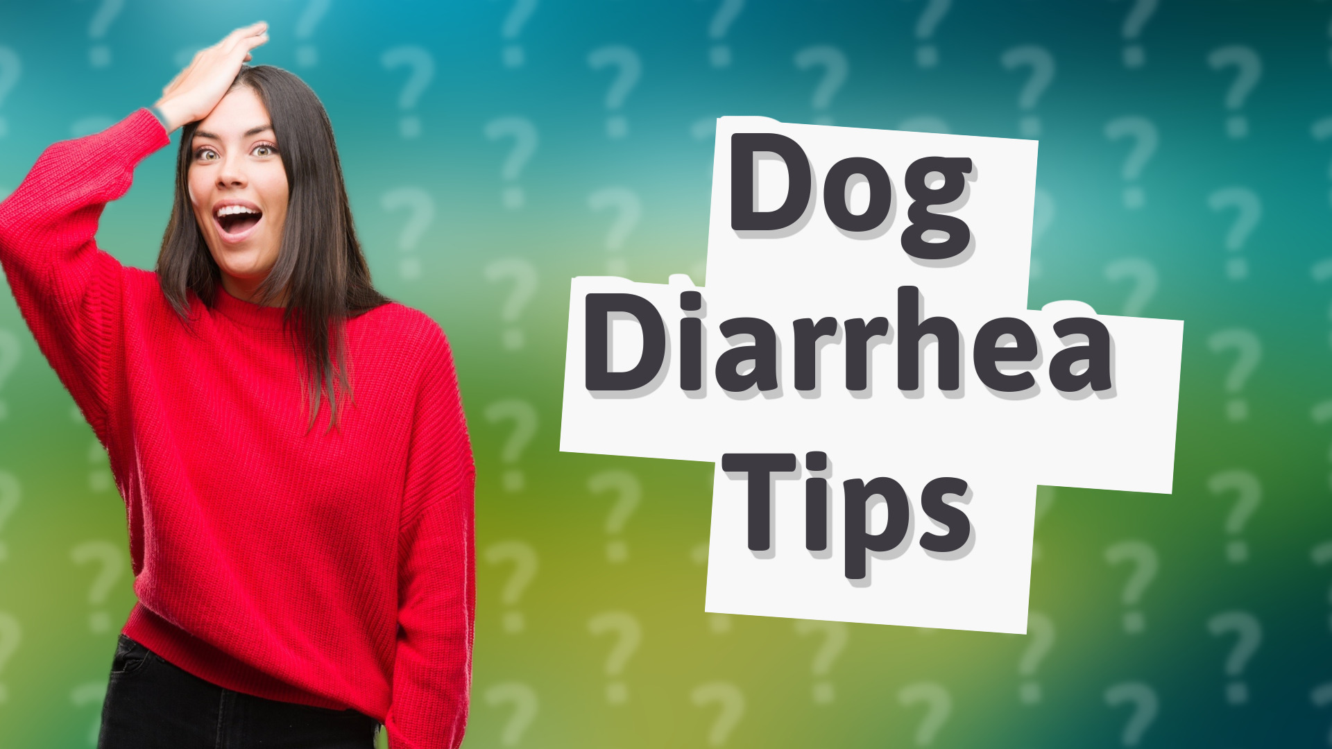 Dog Diarrhea Tips