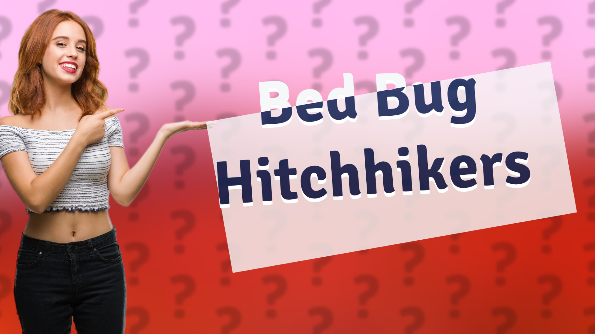 Bed Bug Hitchhikers
