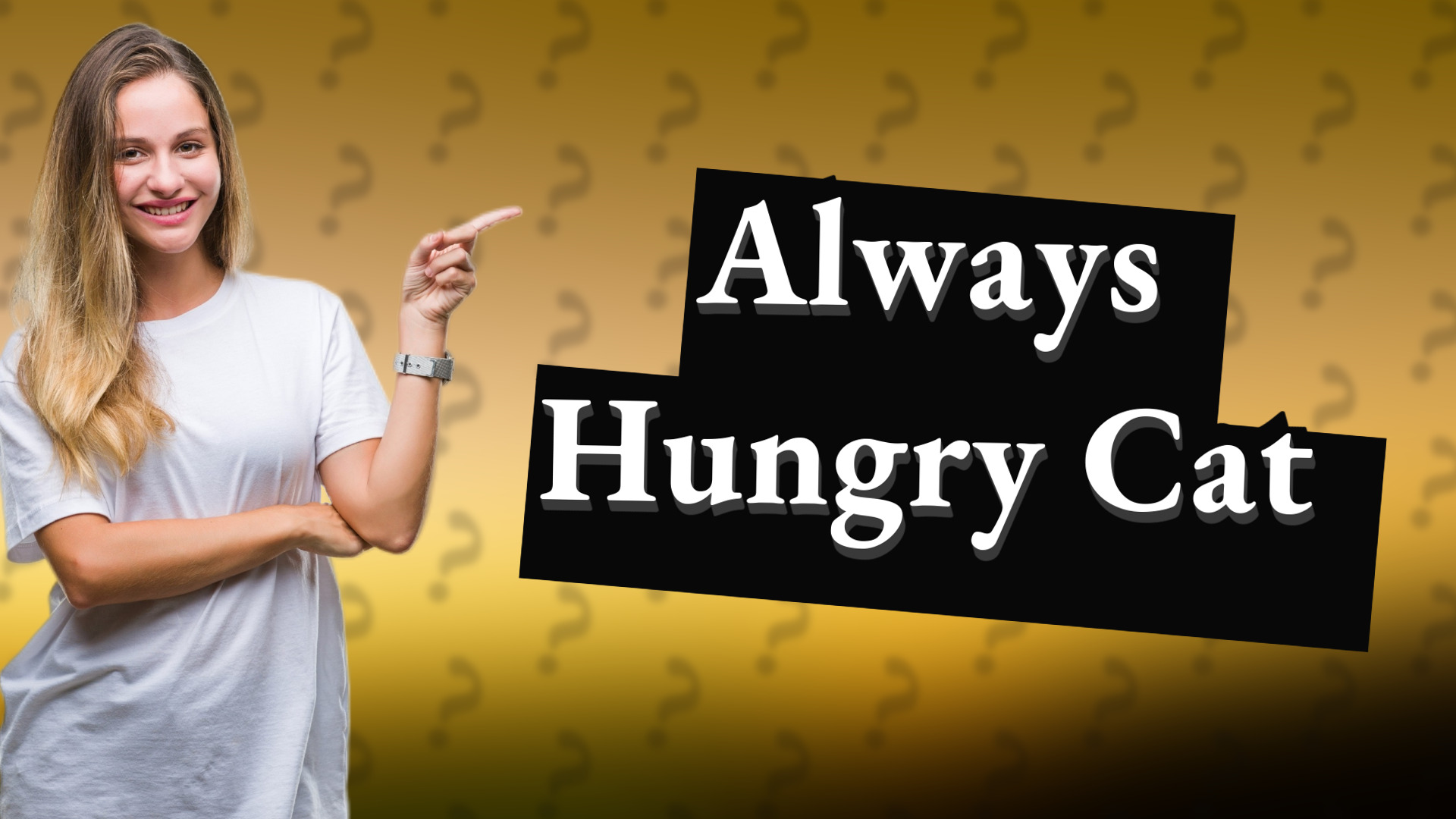Always Hungry Cat