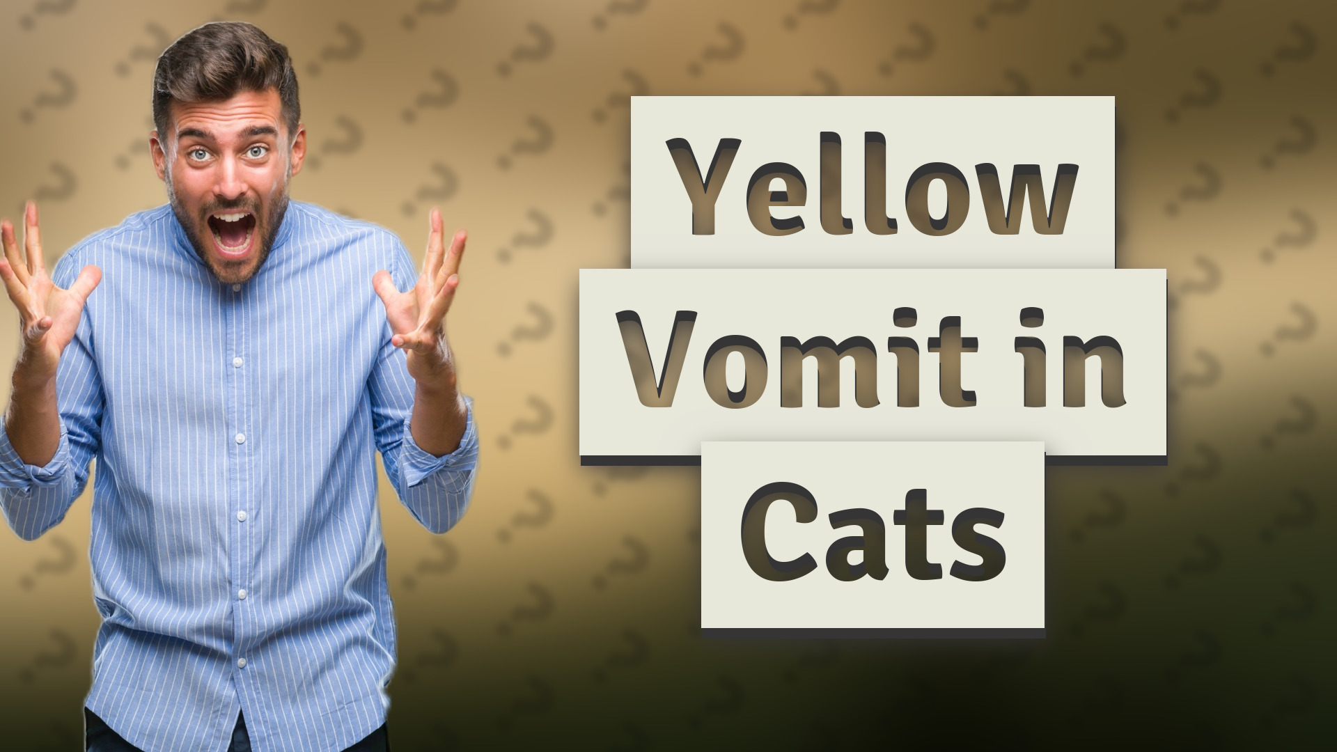 Yellow Vomit in Cats