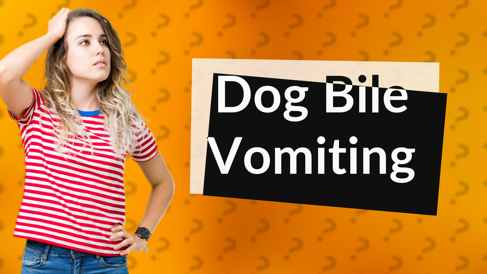 Dog Bile Vomiting