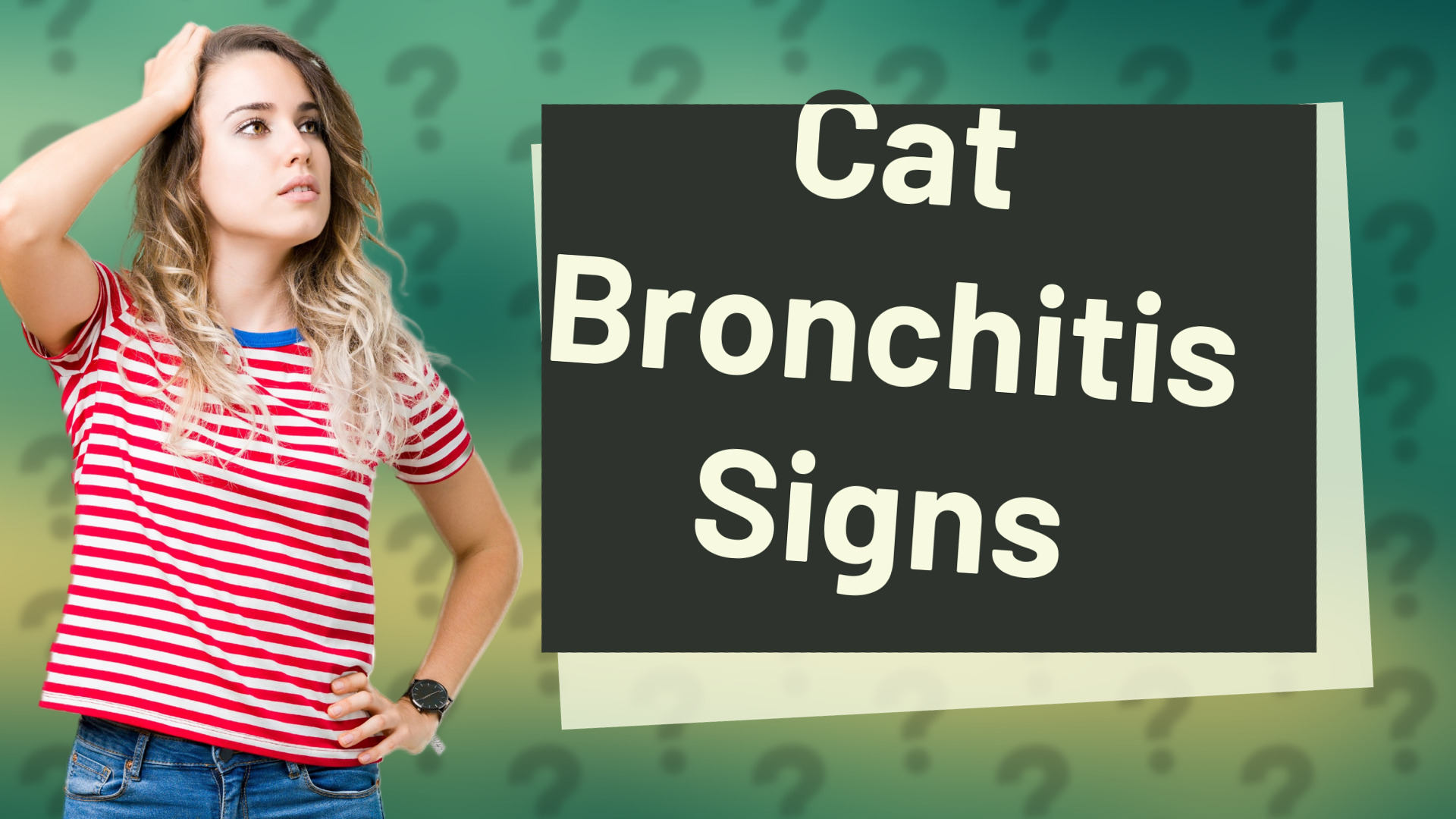 Cat Bronchitis Signs