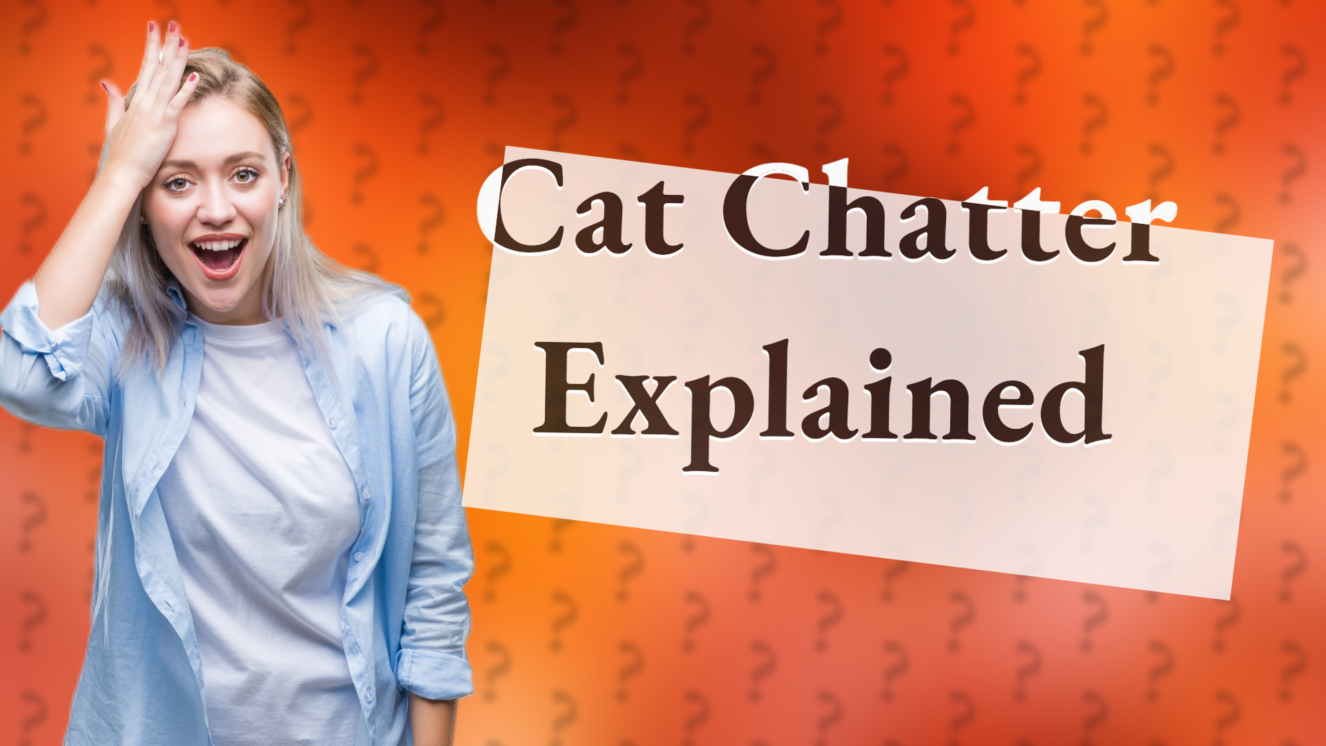 Cat Chatter Explained