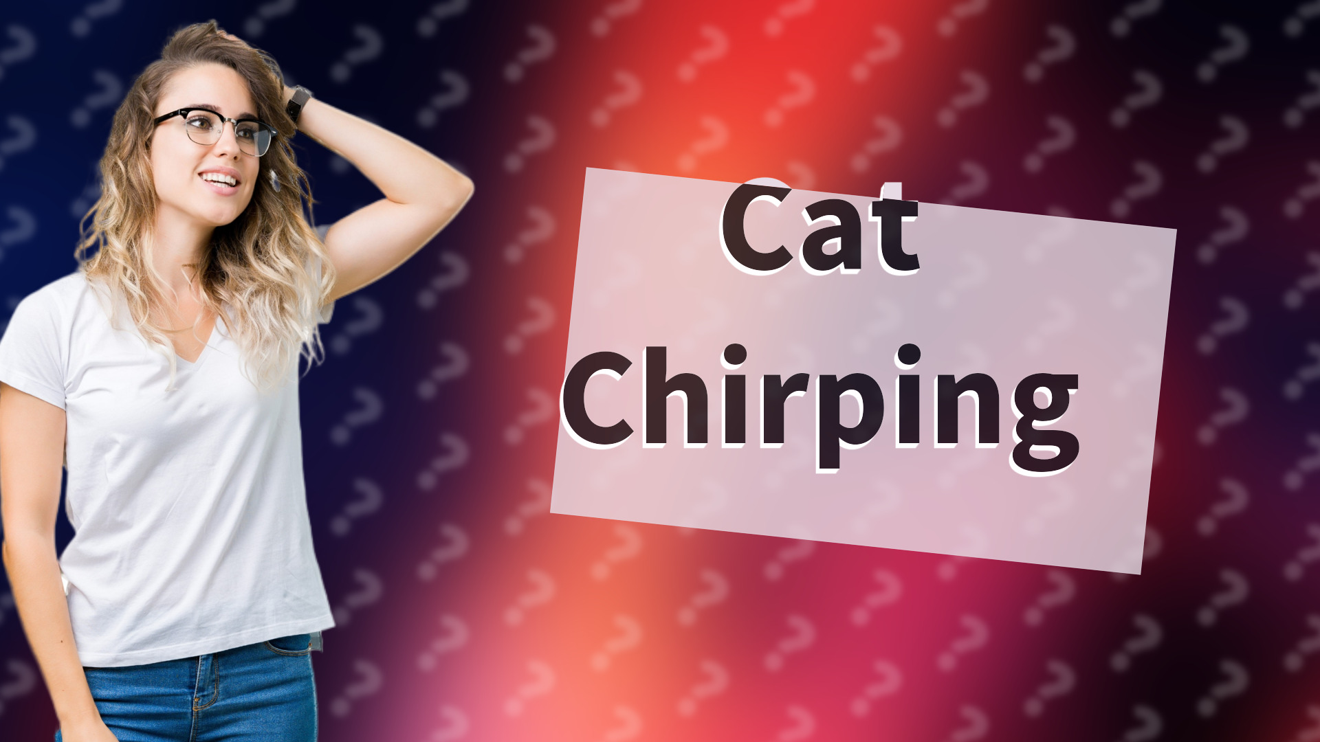 Cat Chirping