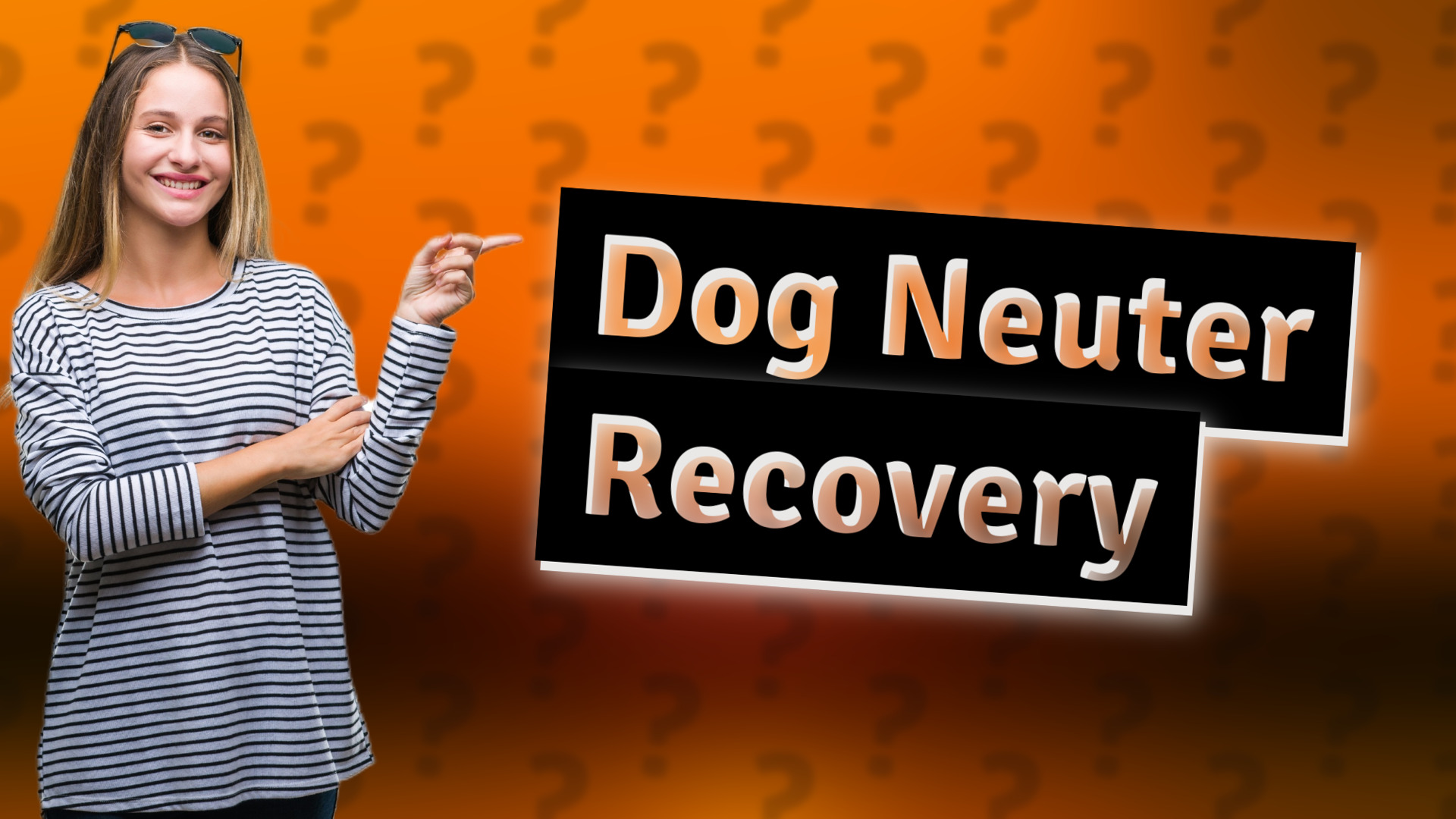 Dog Neuter Recovery