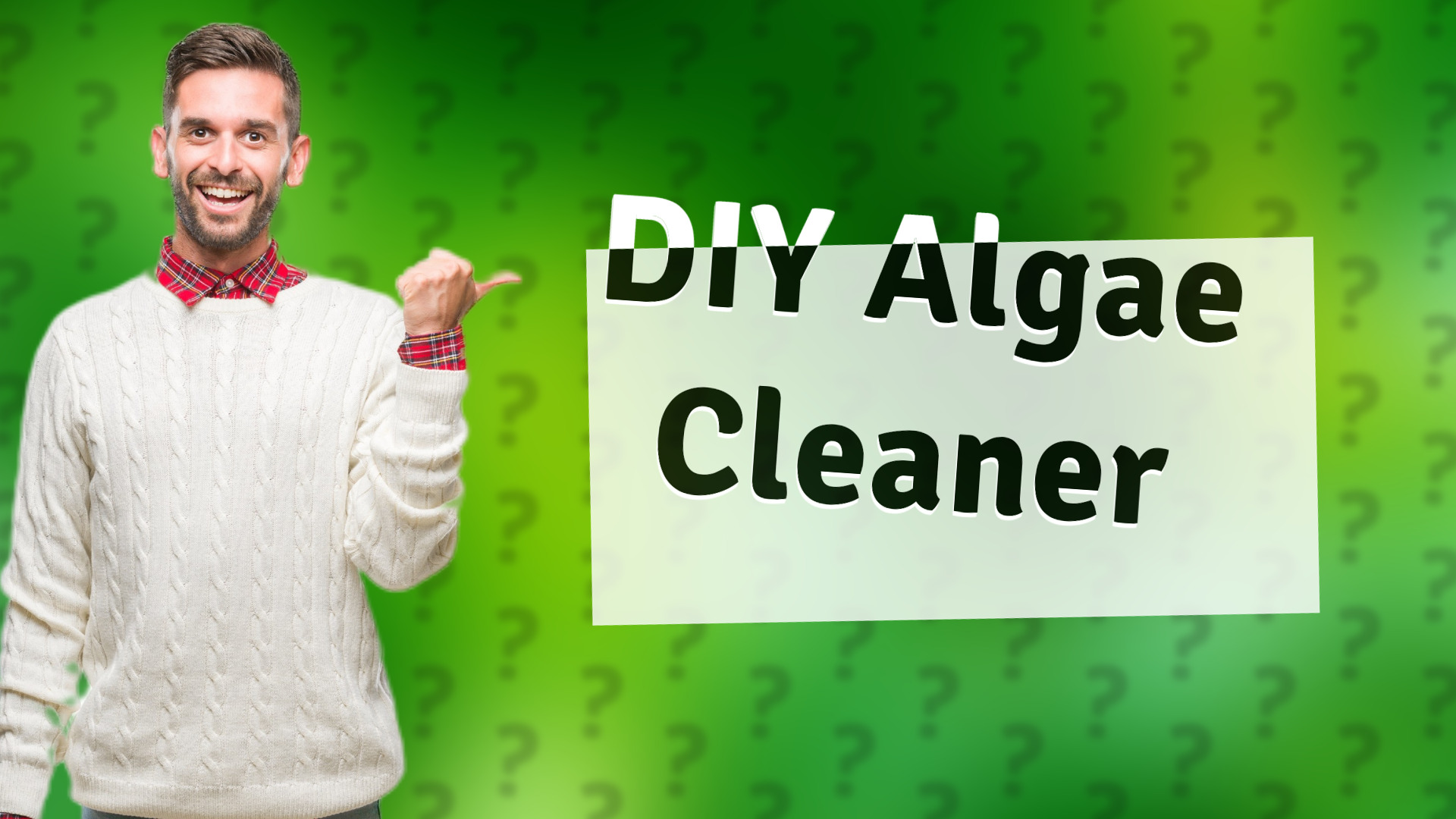 DIY Algae Cleaner