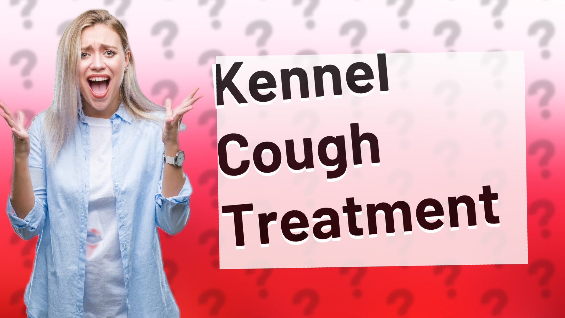 Kennel Cough Treatment