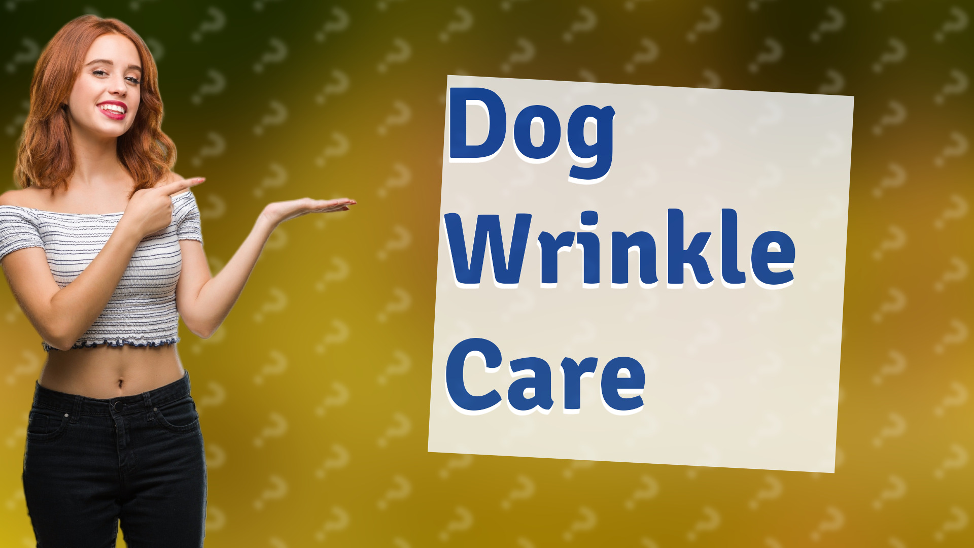 Dog Wrinkle Care