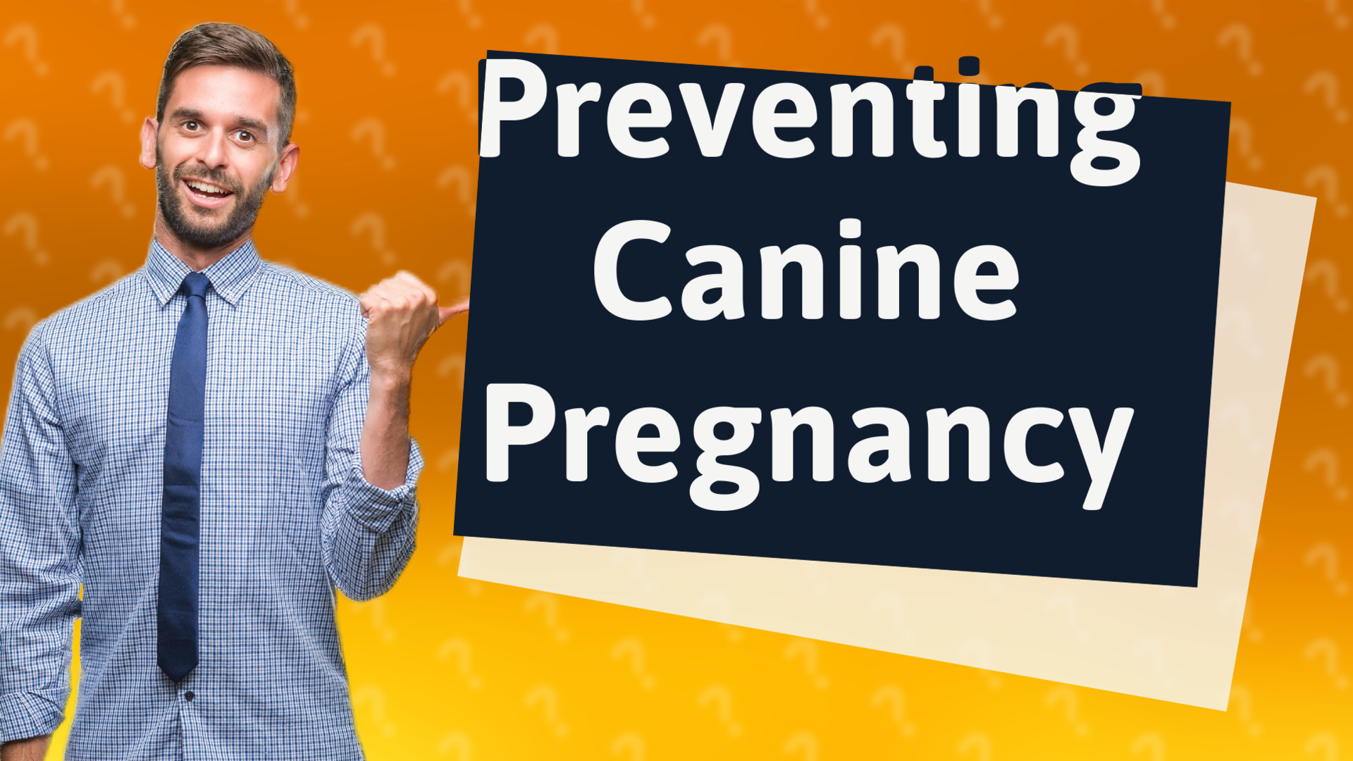 Preventing Canine Pregnancy