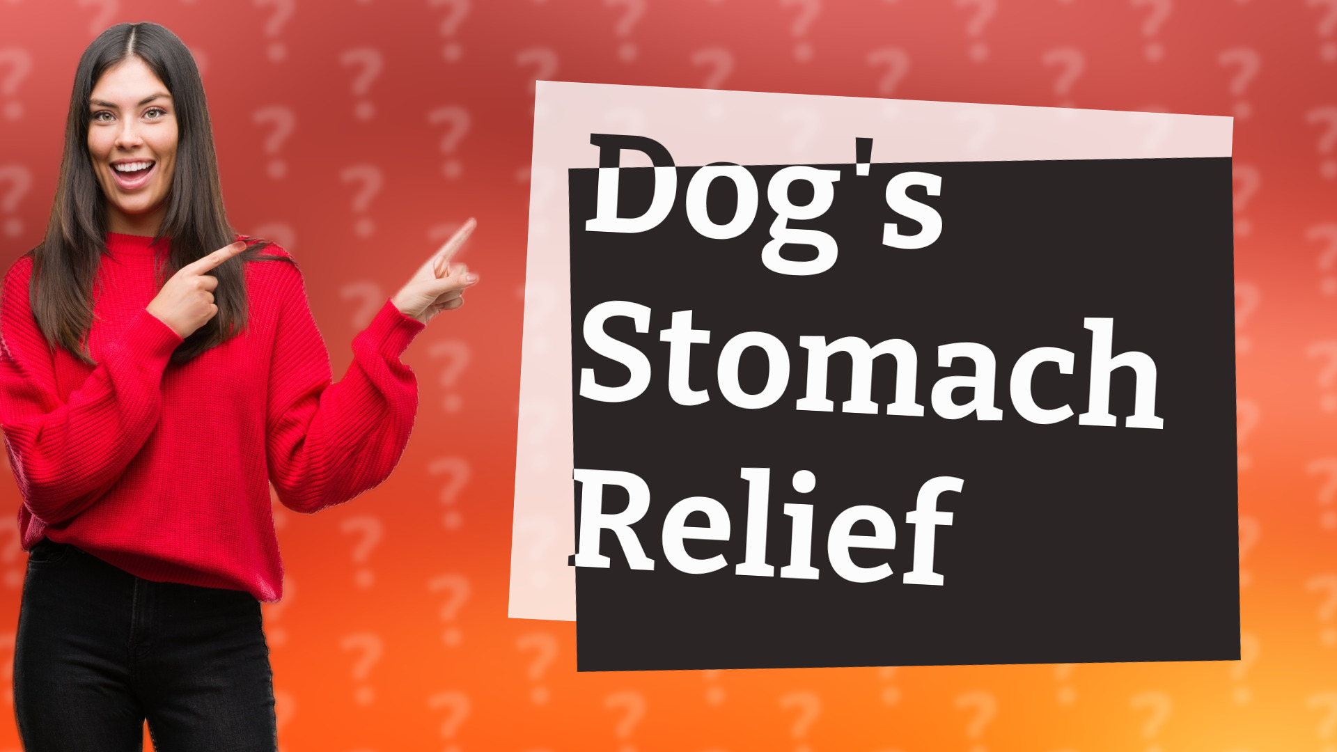 Dog's Stomach Relief
