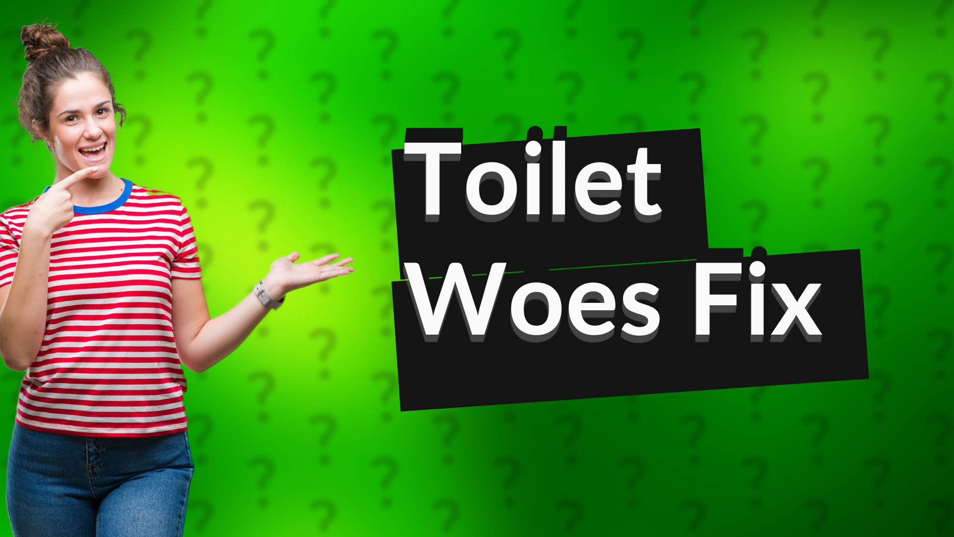 Toilet Woes Fix