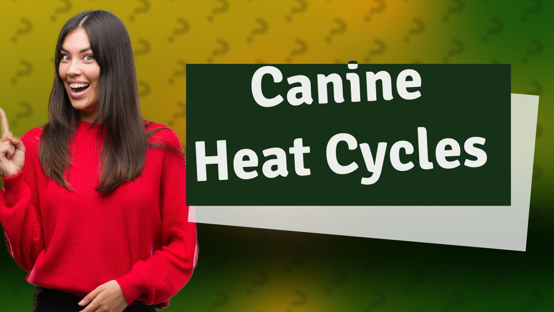 Canine Heat Cycles