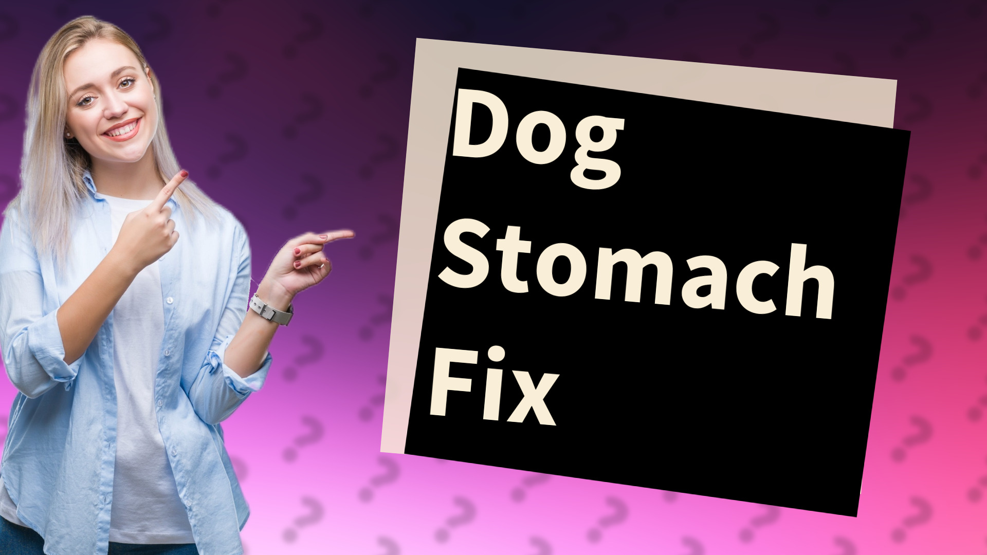 Dog Stomach Fix