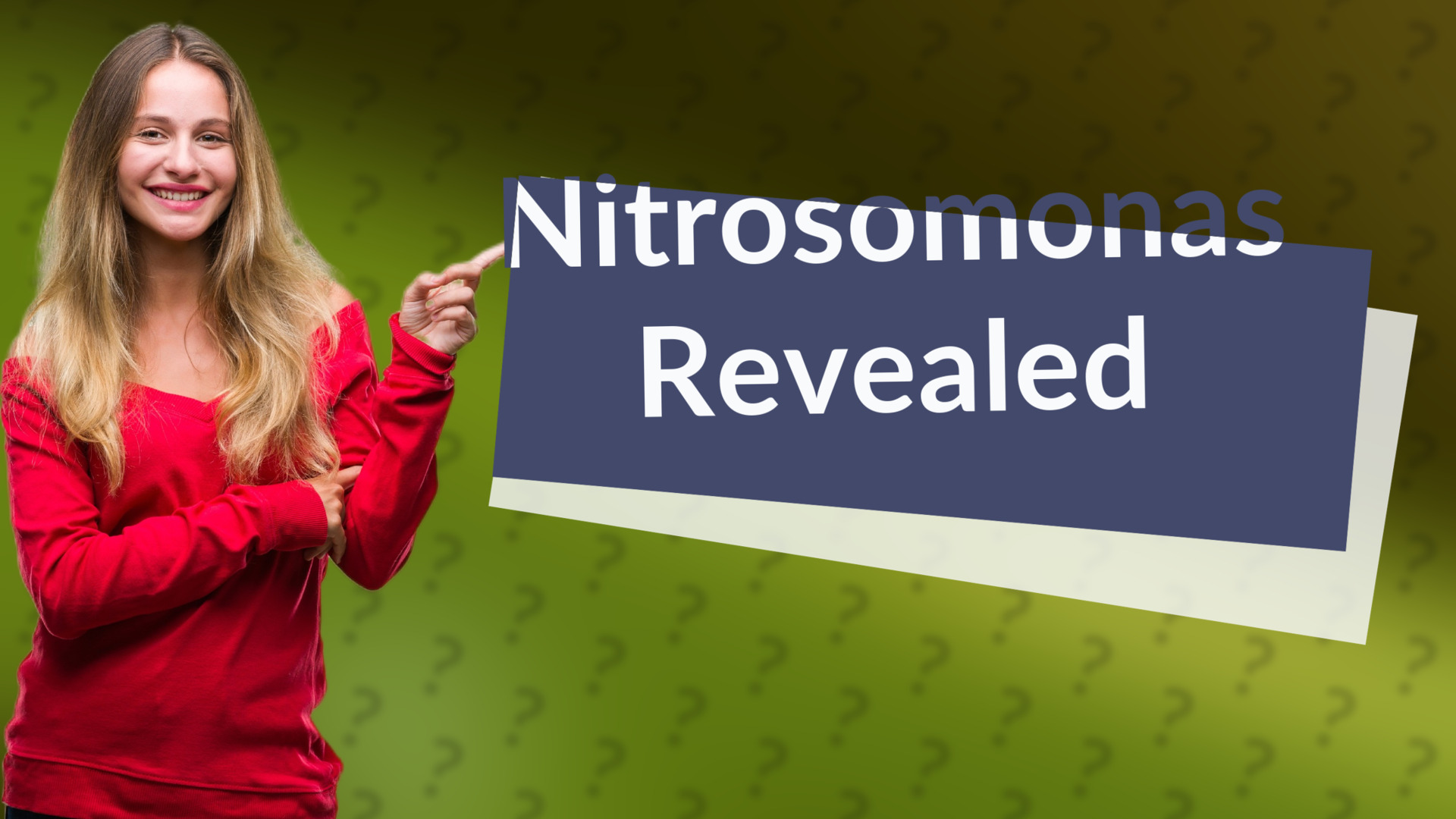 Nitrosomonas Revealed