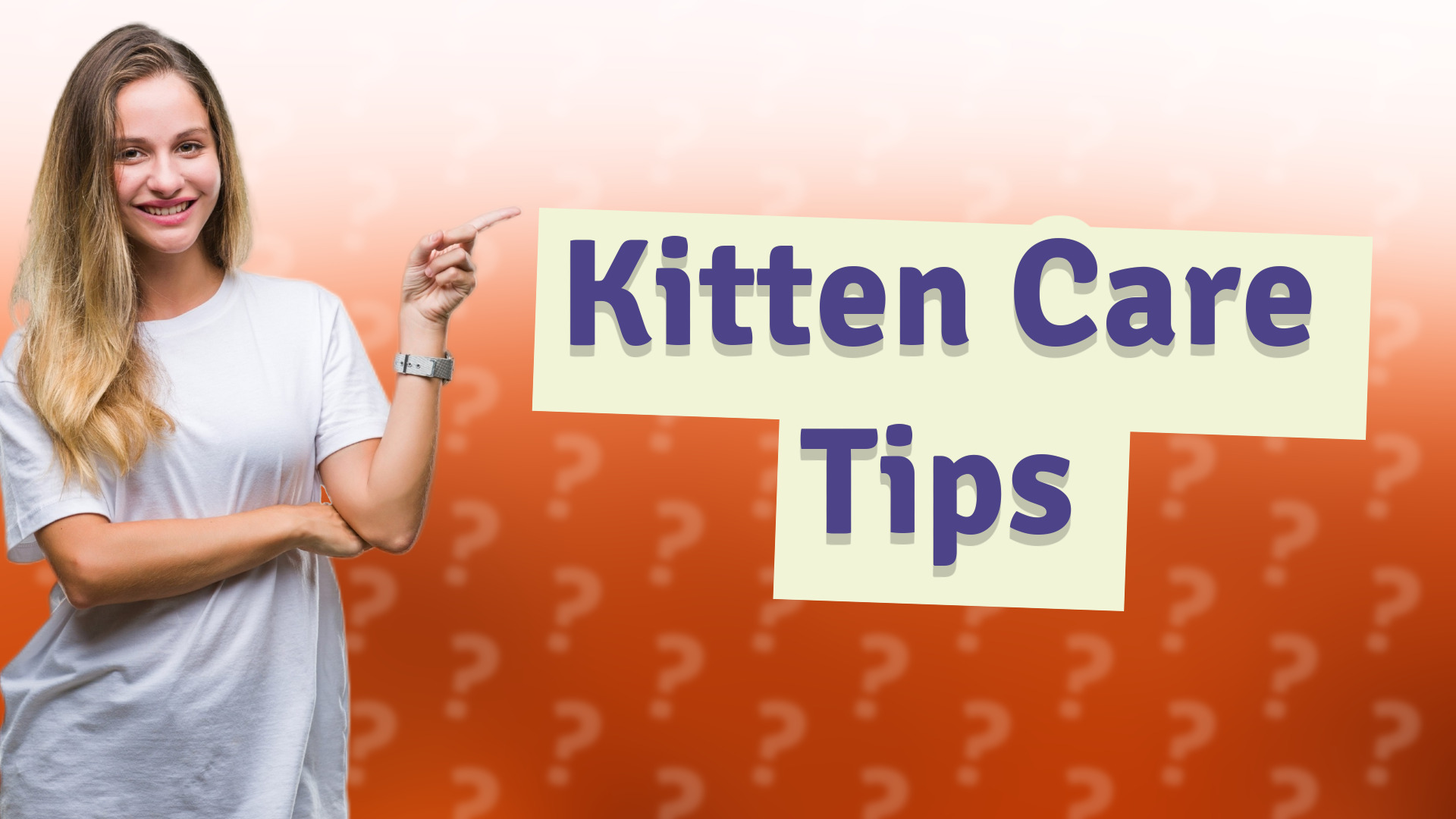 Kitten Care Tips