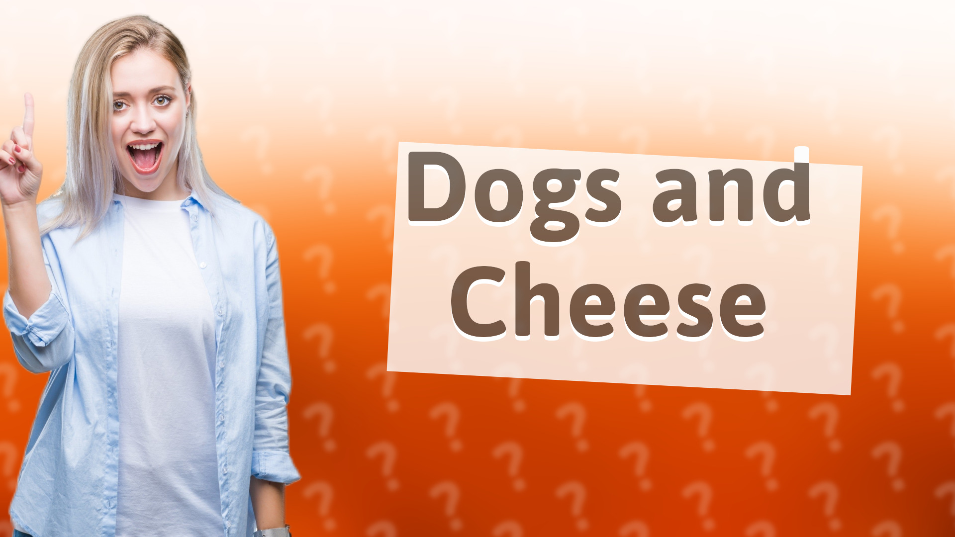 Dogs and Cheese
