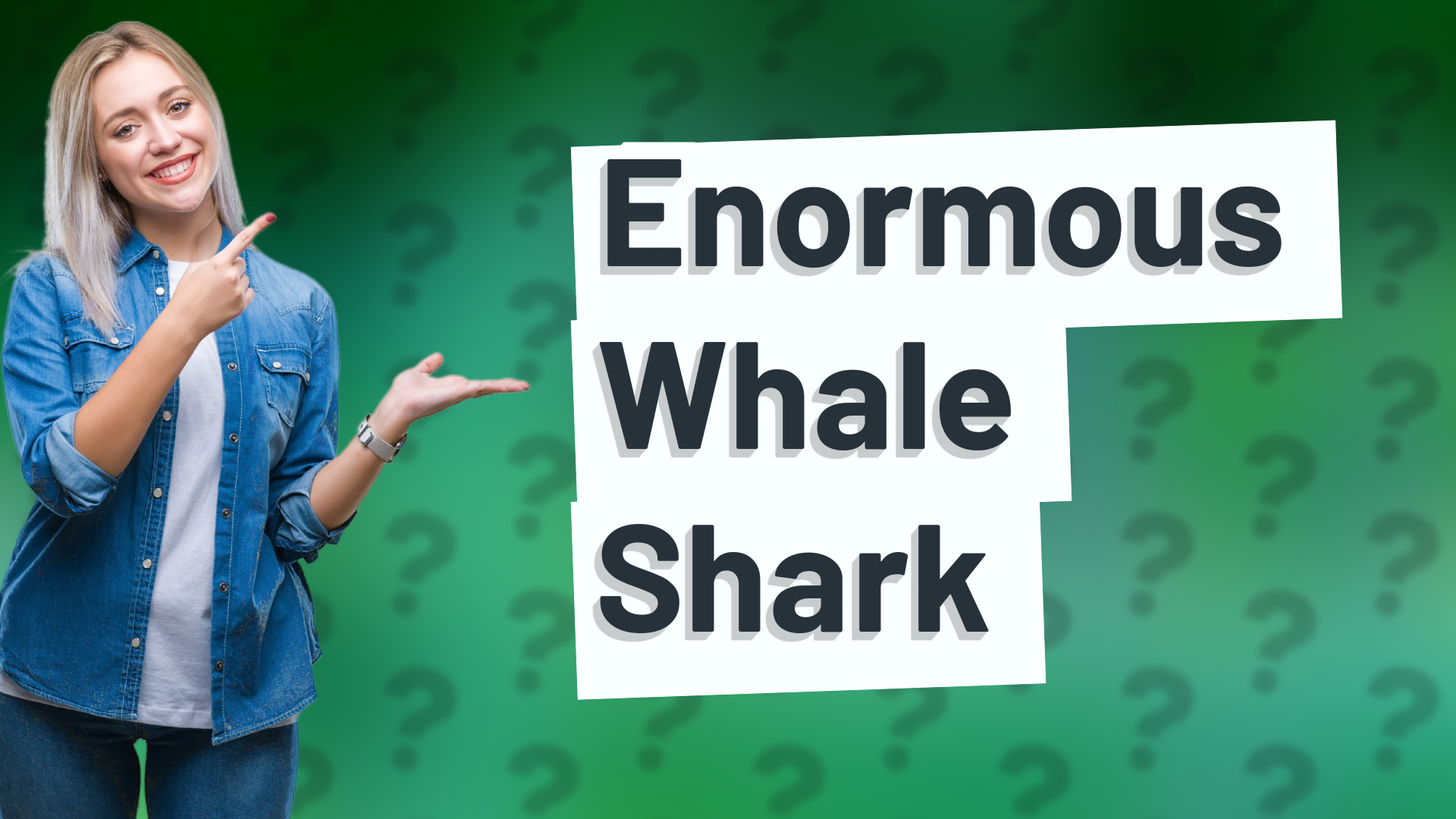 Enormous Whale Shark