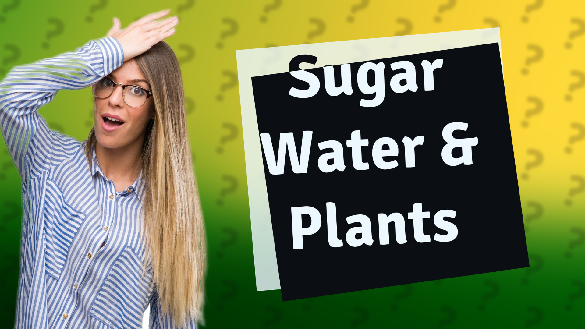 Sugar Water & Plants