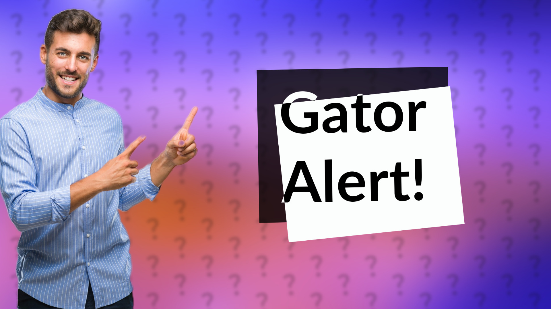 Gator Alert!