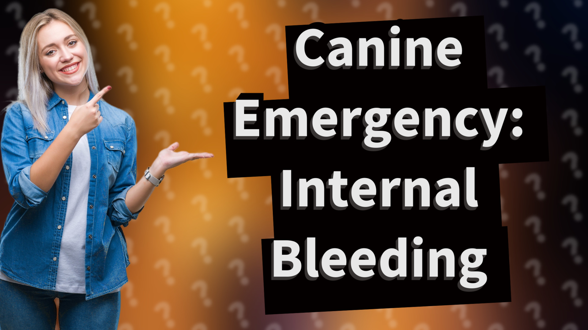 Canine Emergency: Internal Bleeding