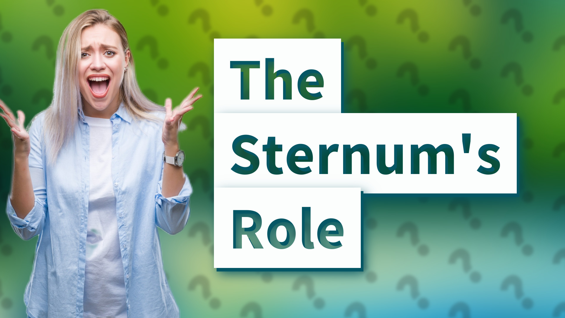 The Sternum's Role