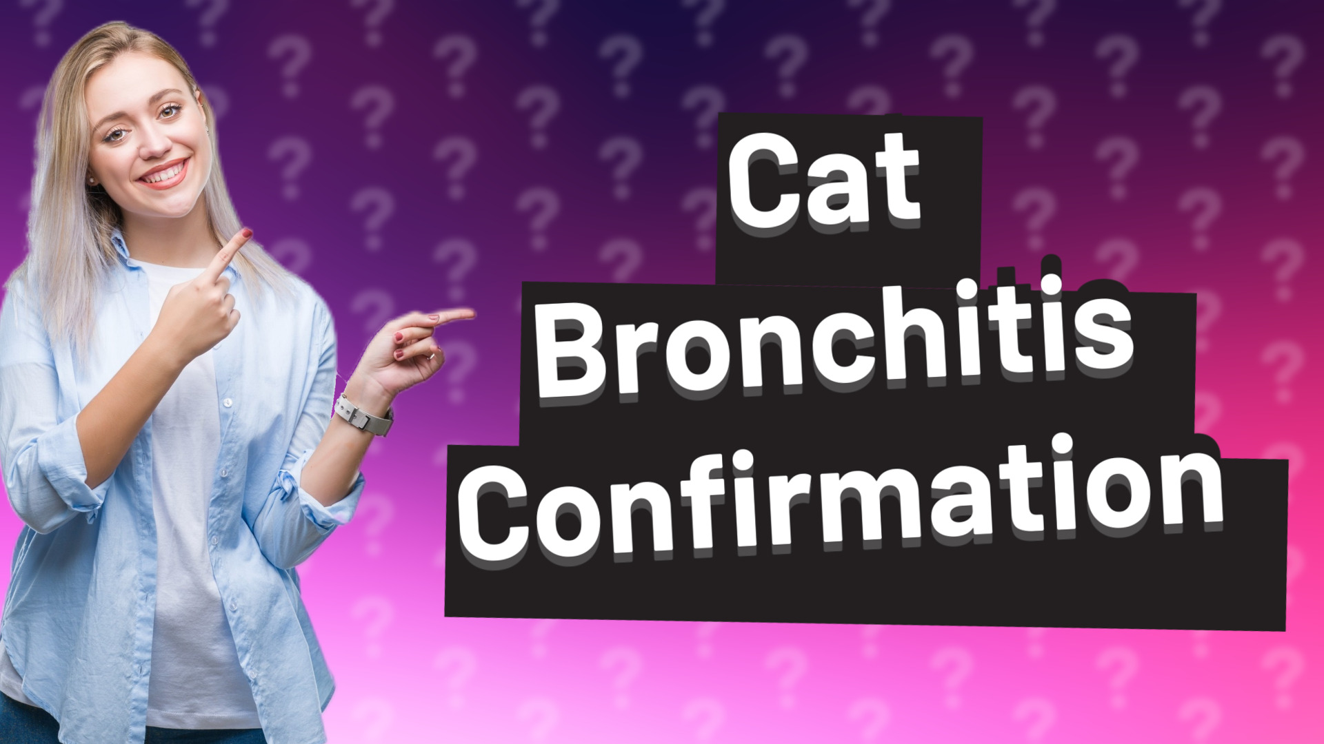 Cat Bronchitis Confirmation
